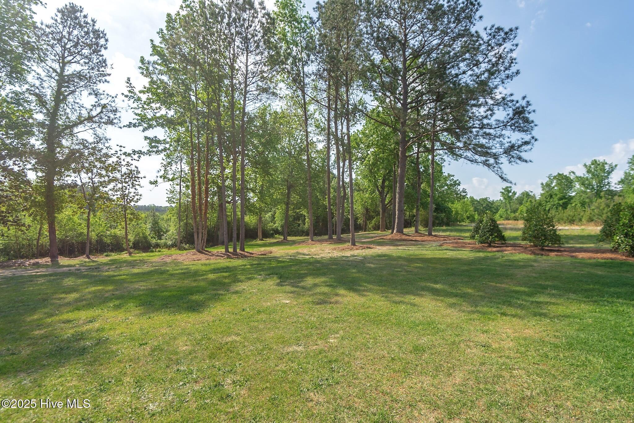 229 Rays Bridge Road Property Photo 18
