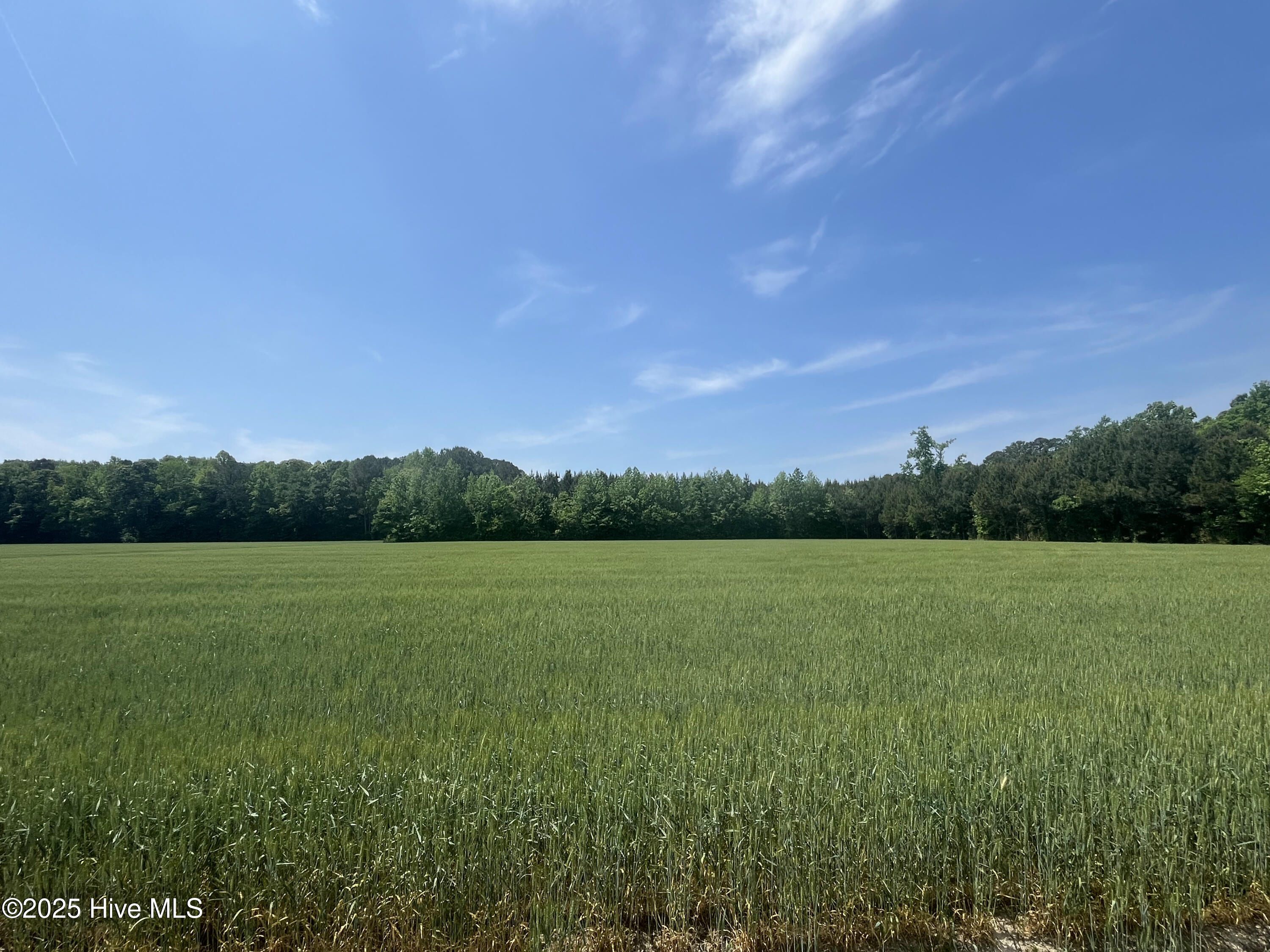 0 Clay Hill Road Property Photo
