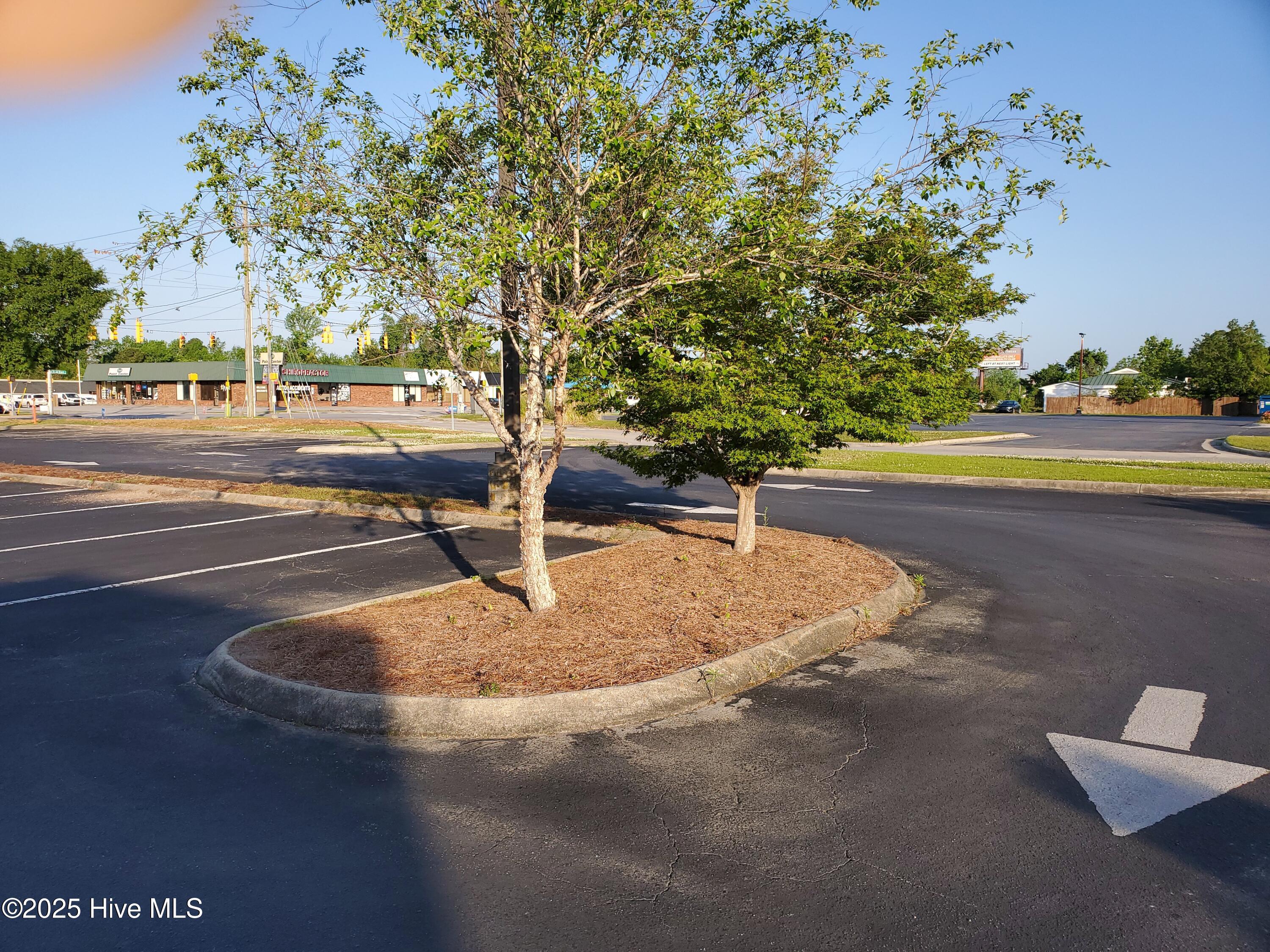 110 Branchwood Drive A Property Photo 22