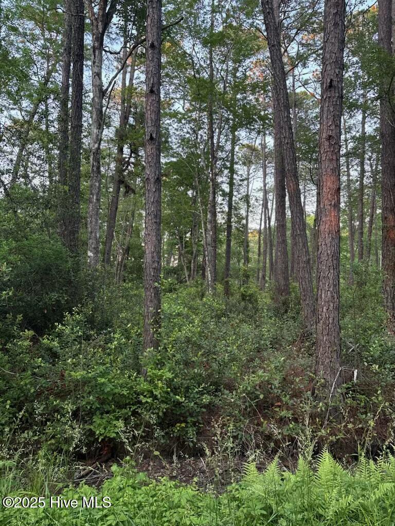 3 Thicketwood Drive Property Photo