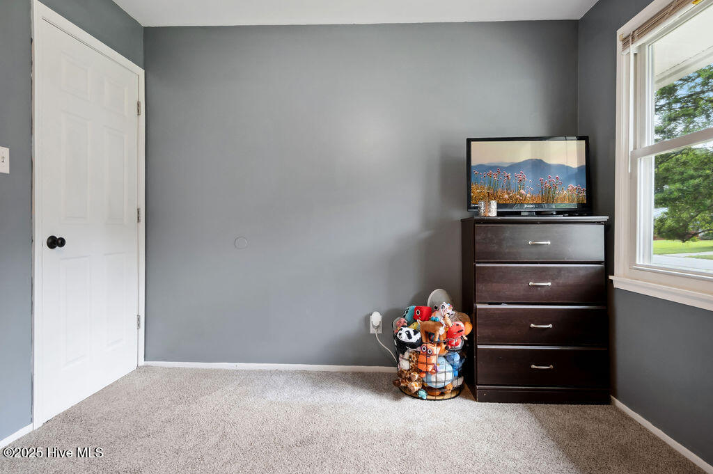 1020 River Street Property Photo 29