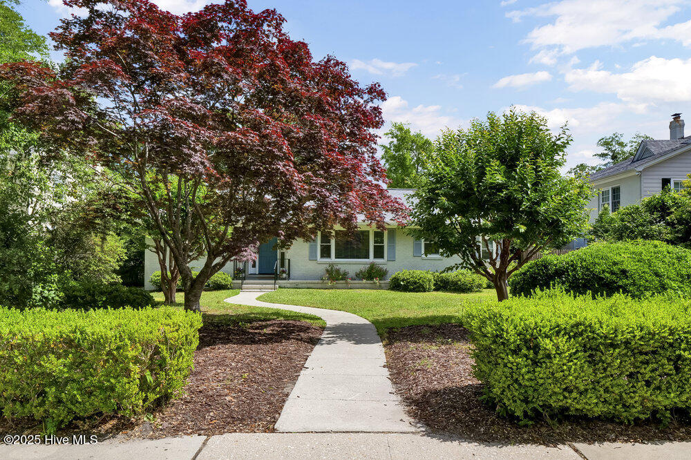 2605 Park Avenue Property Photo