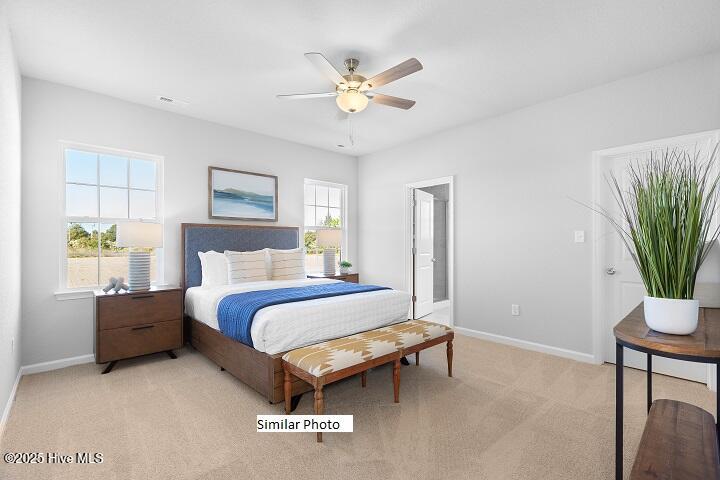 205 Apple Court Property Photo 17