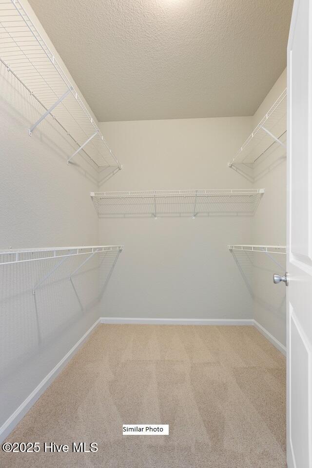 205 Apple Court Property Photo 21