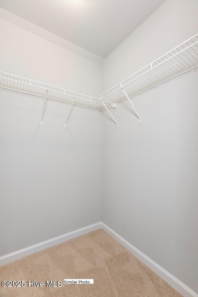205 Apple Court Property Photo 25