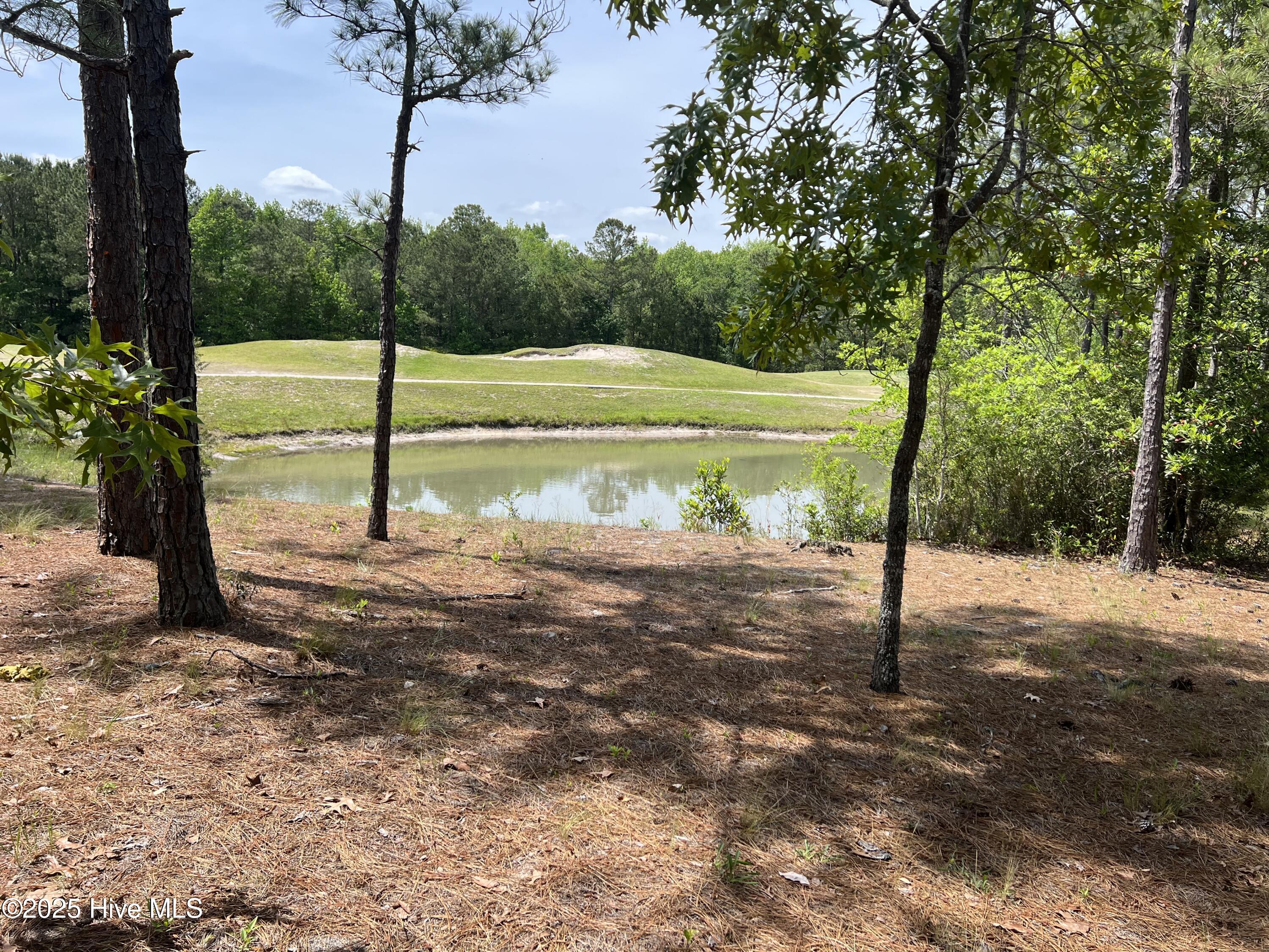 5819 England Point Property Photo 17