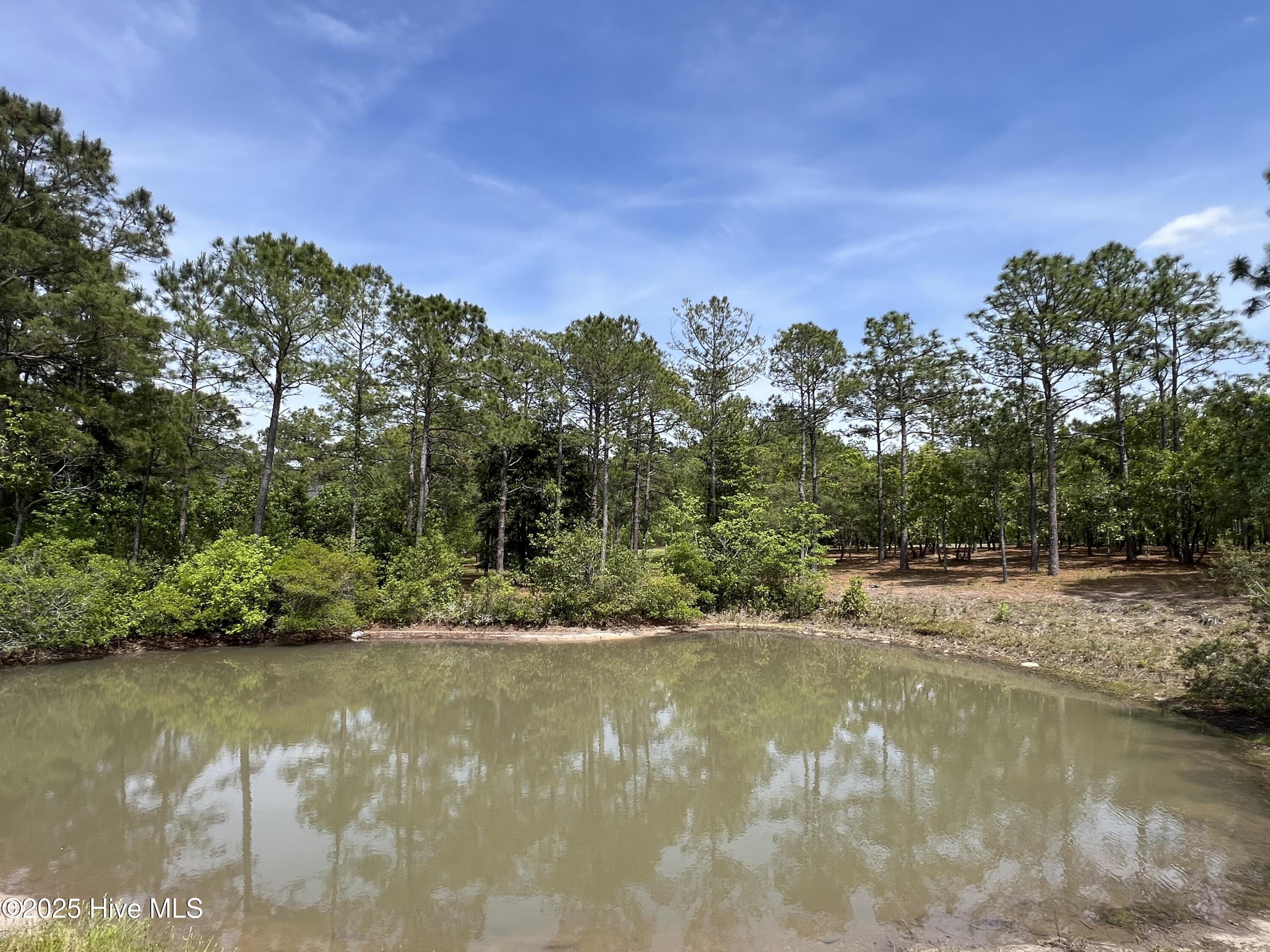 5819 England Point Property Photo 19