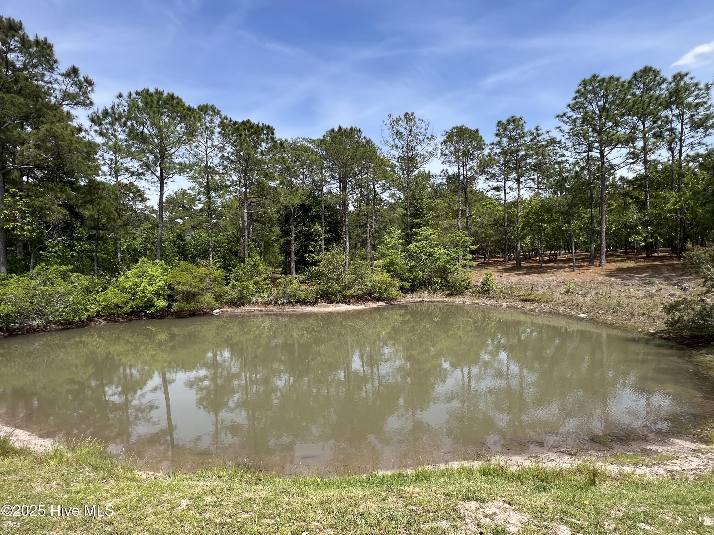 5819 England Point Property Photo 20