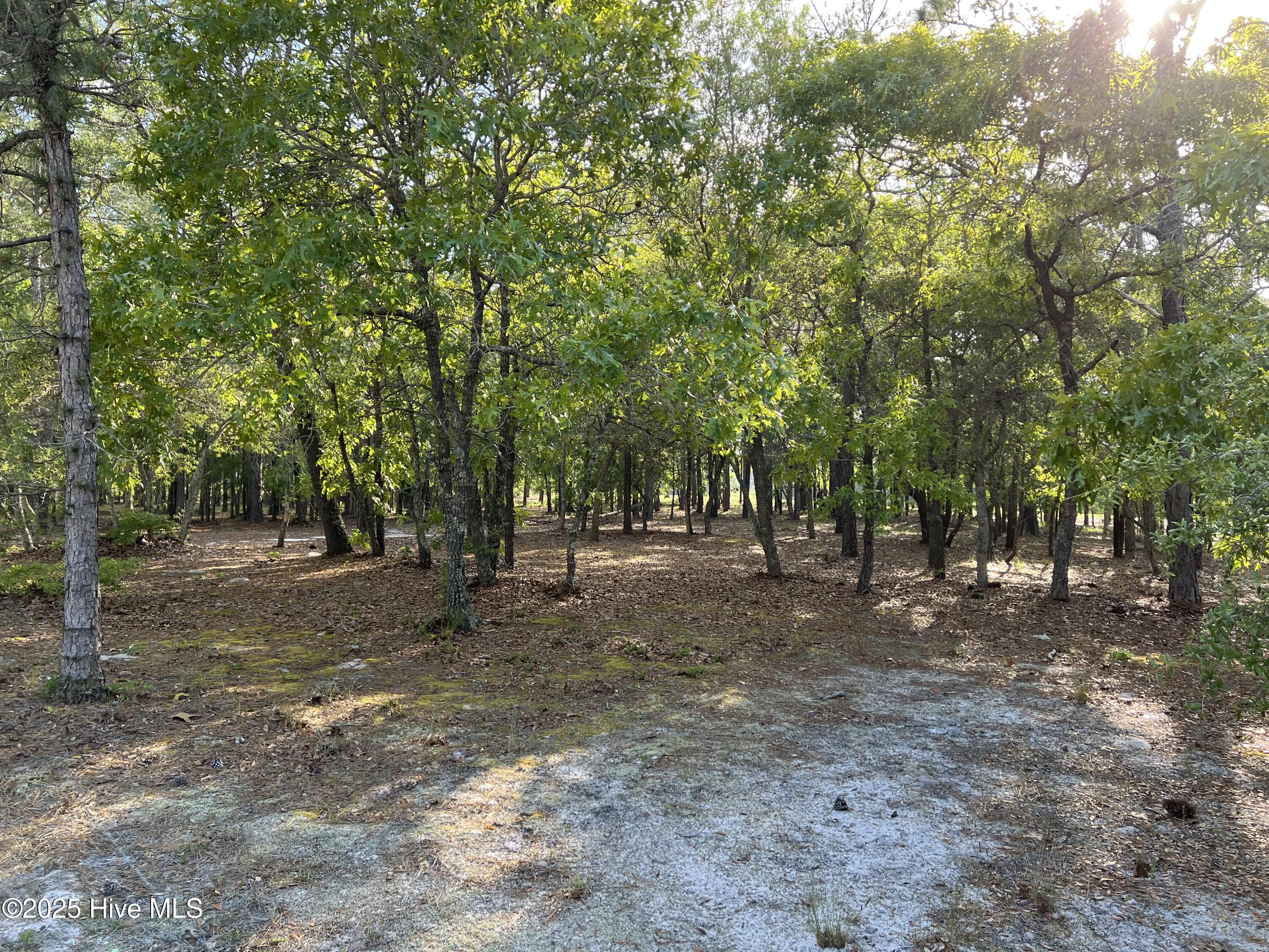 5819 England Point Property Photo 21