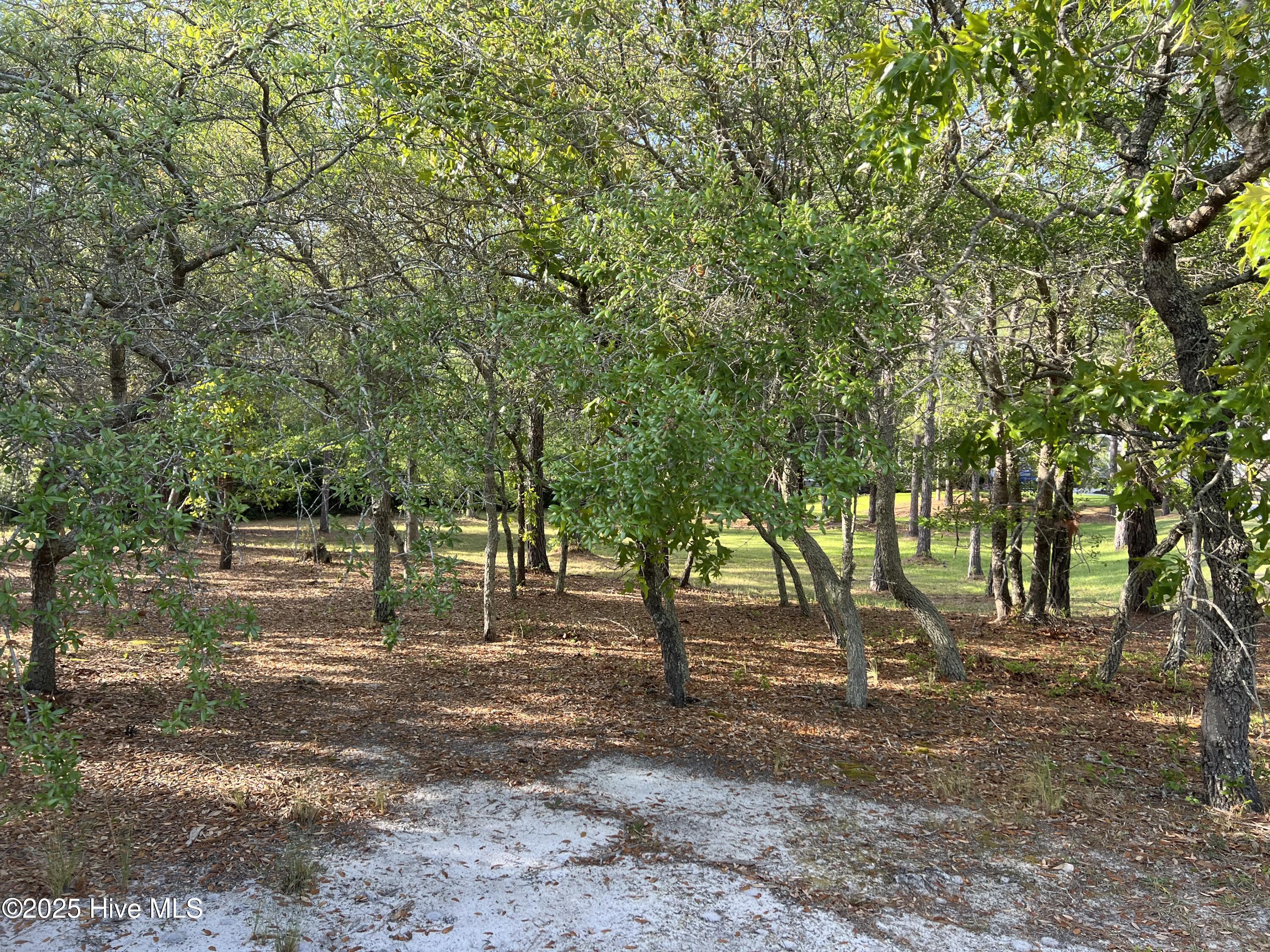 5819 England Point Property Photo 23