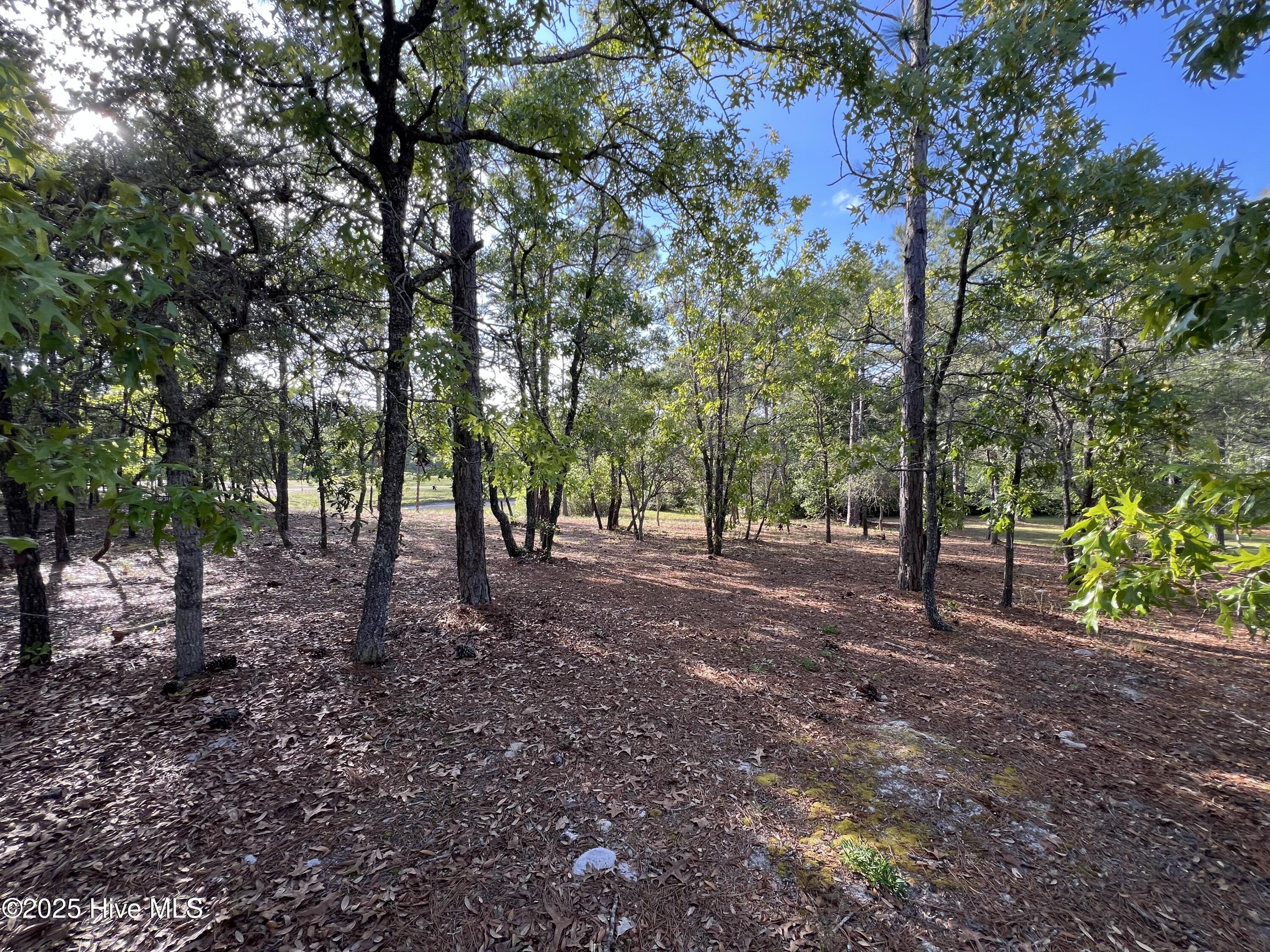 5819 England Point Property Photo 24