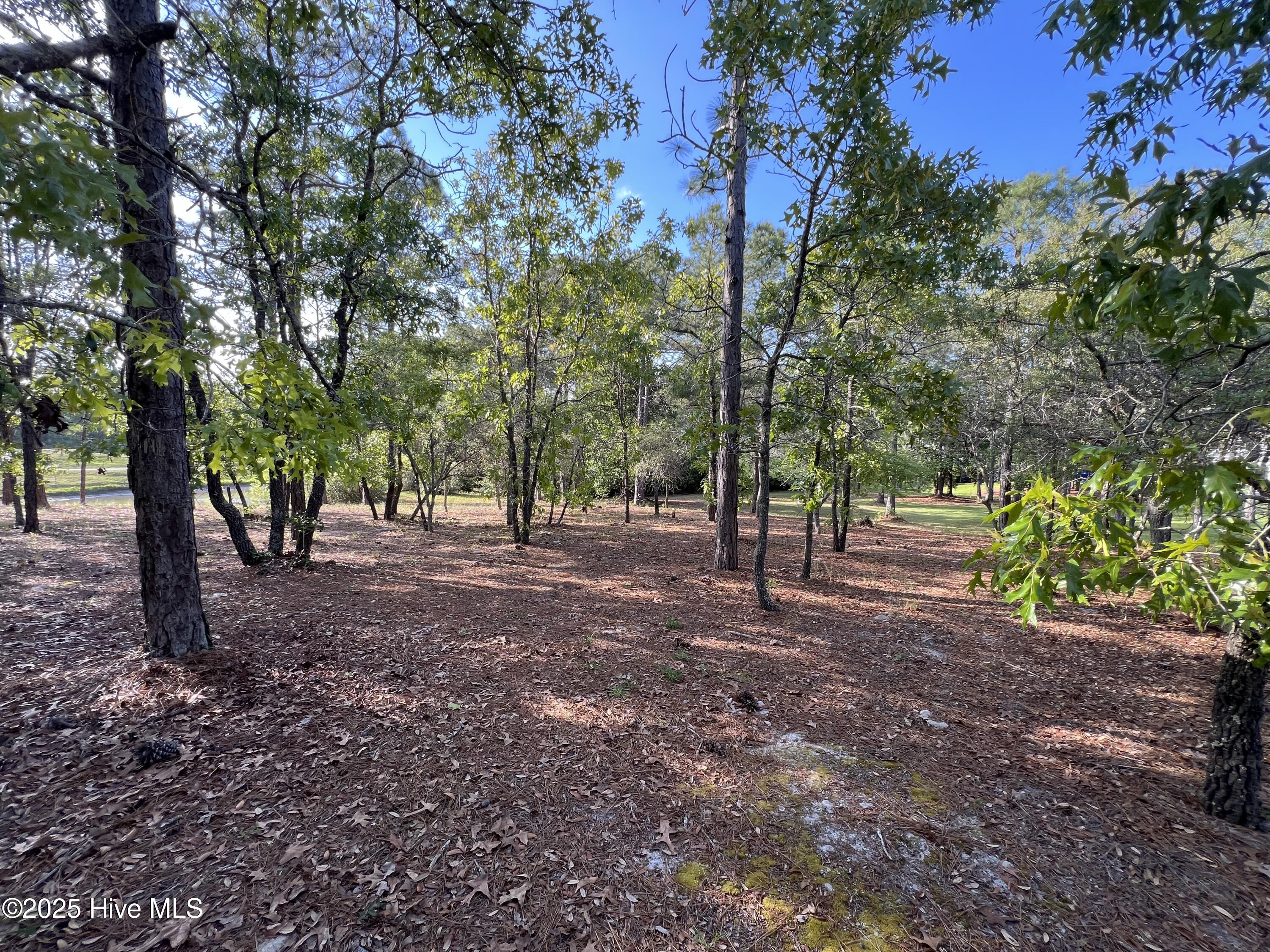 5819 England Point Property Photo 25