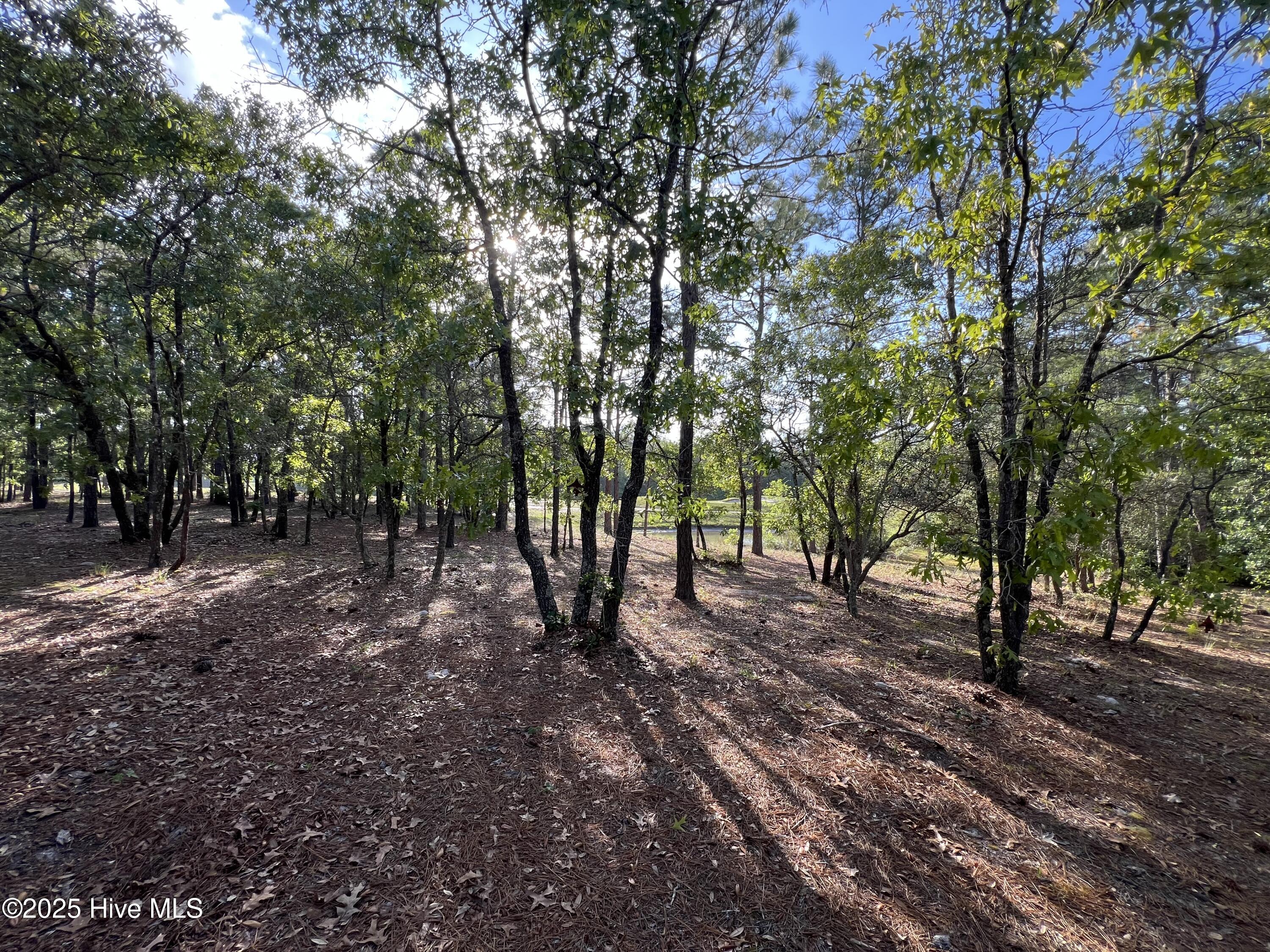 5819 England Point Property Photo 26