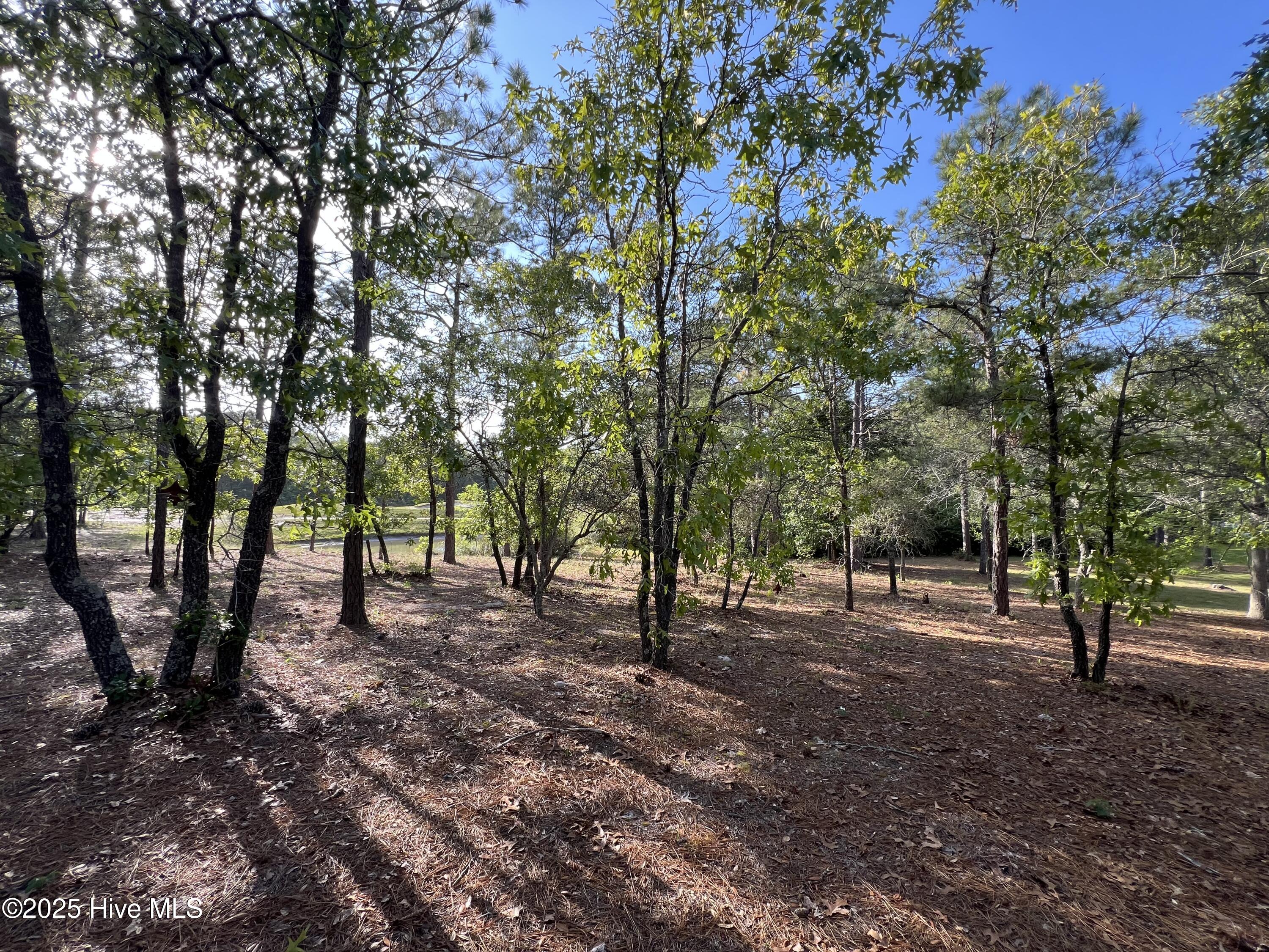 5819 England Point Property Photo 27