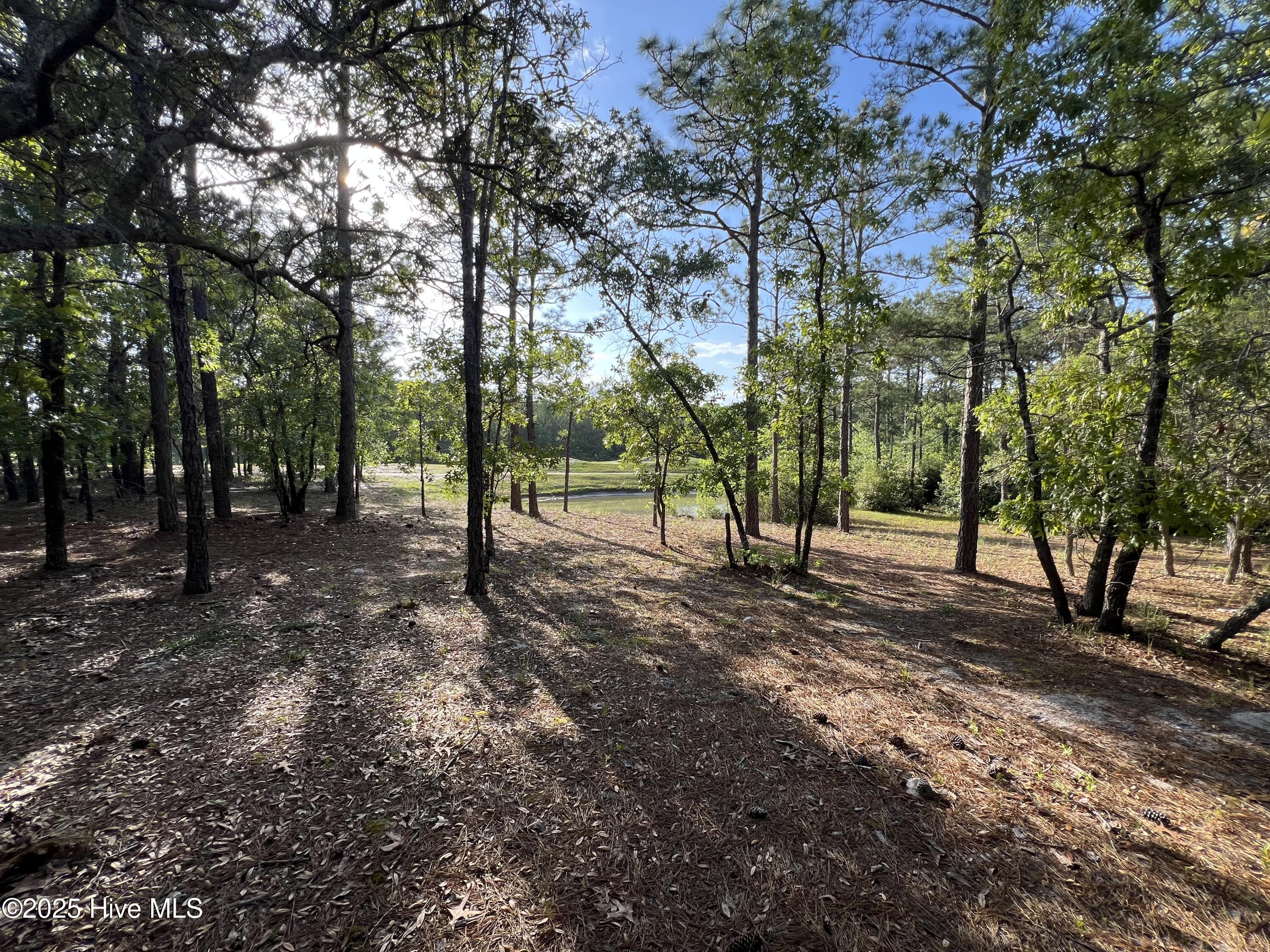 5819 England Point Property Photo 28