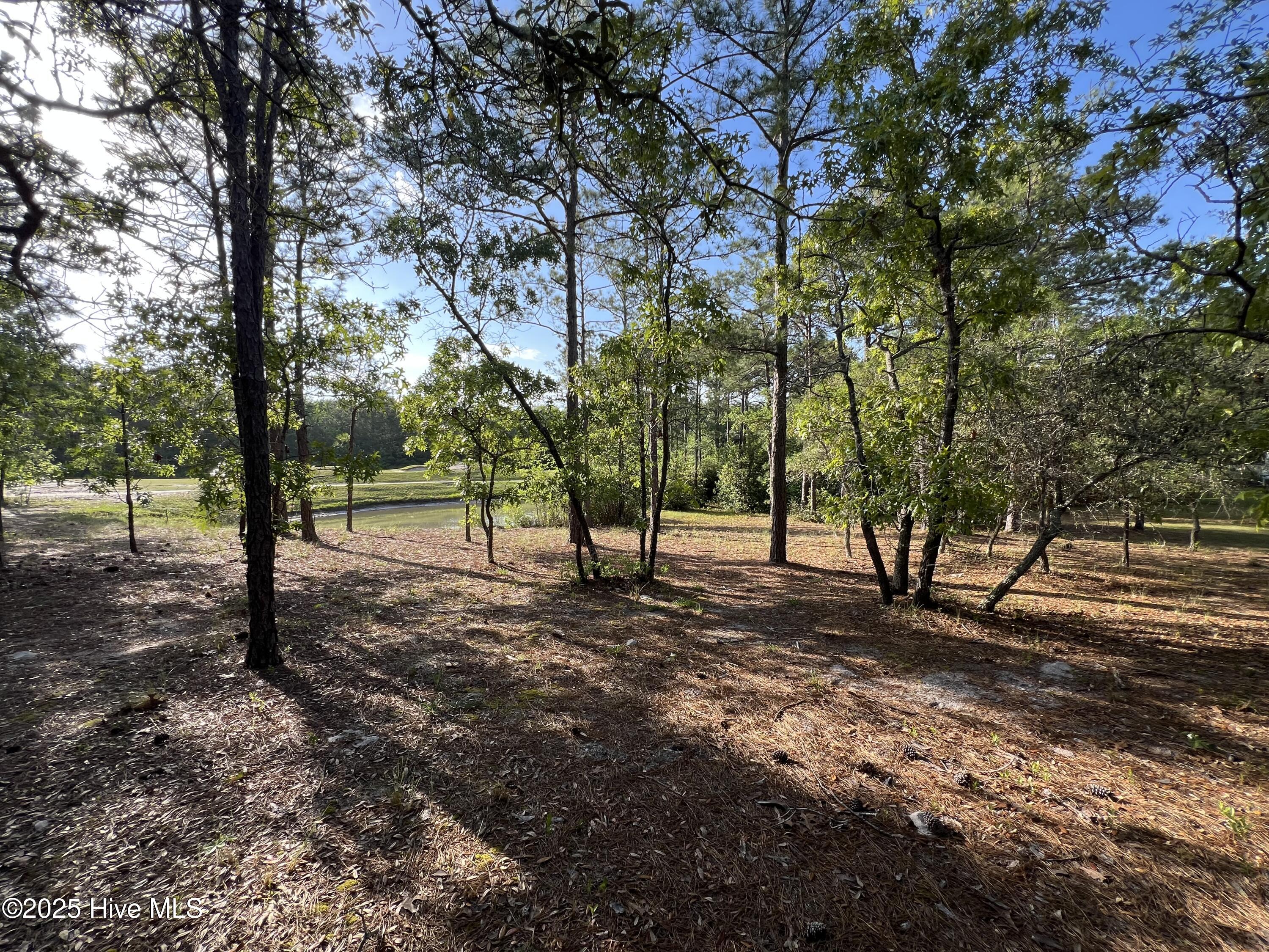 5819 England Point Property Photo 29