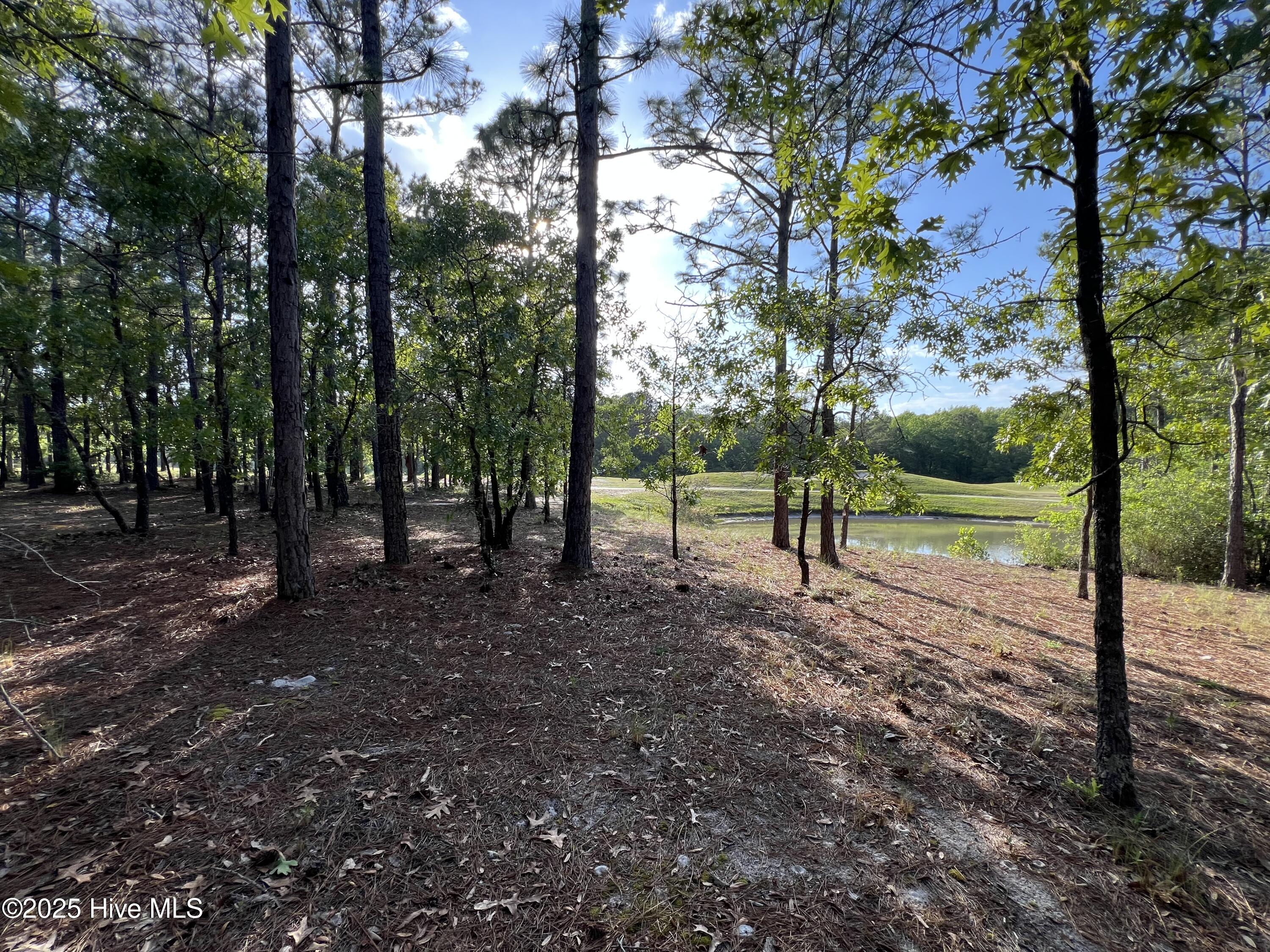 5819 England Point Property Photo 30