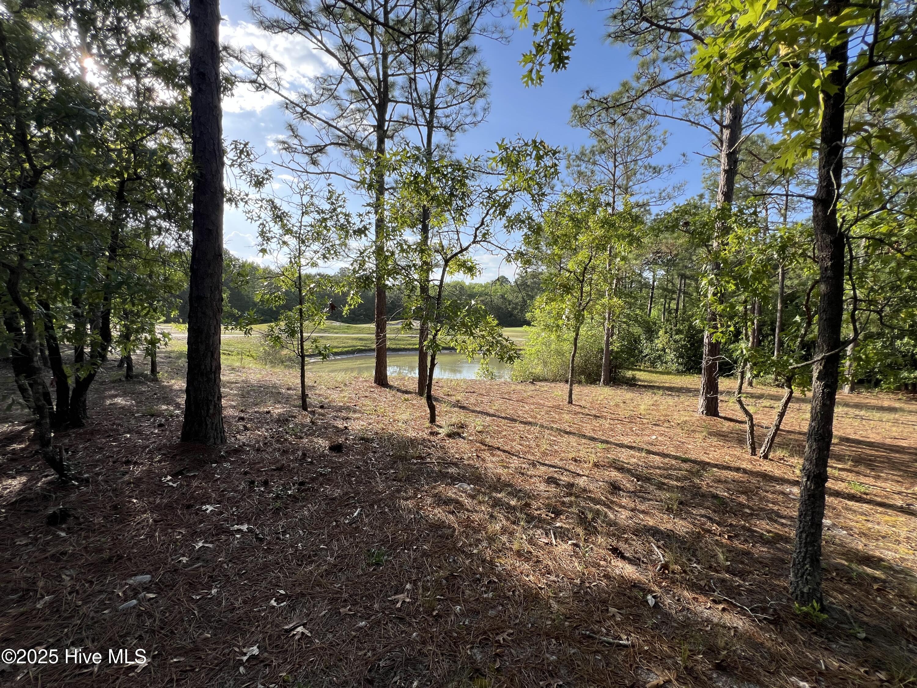 5819 England Point Property Photo 31