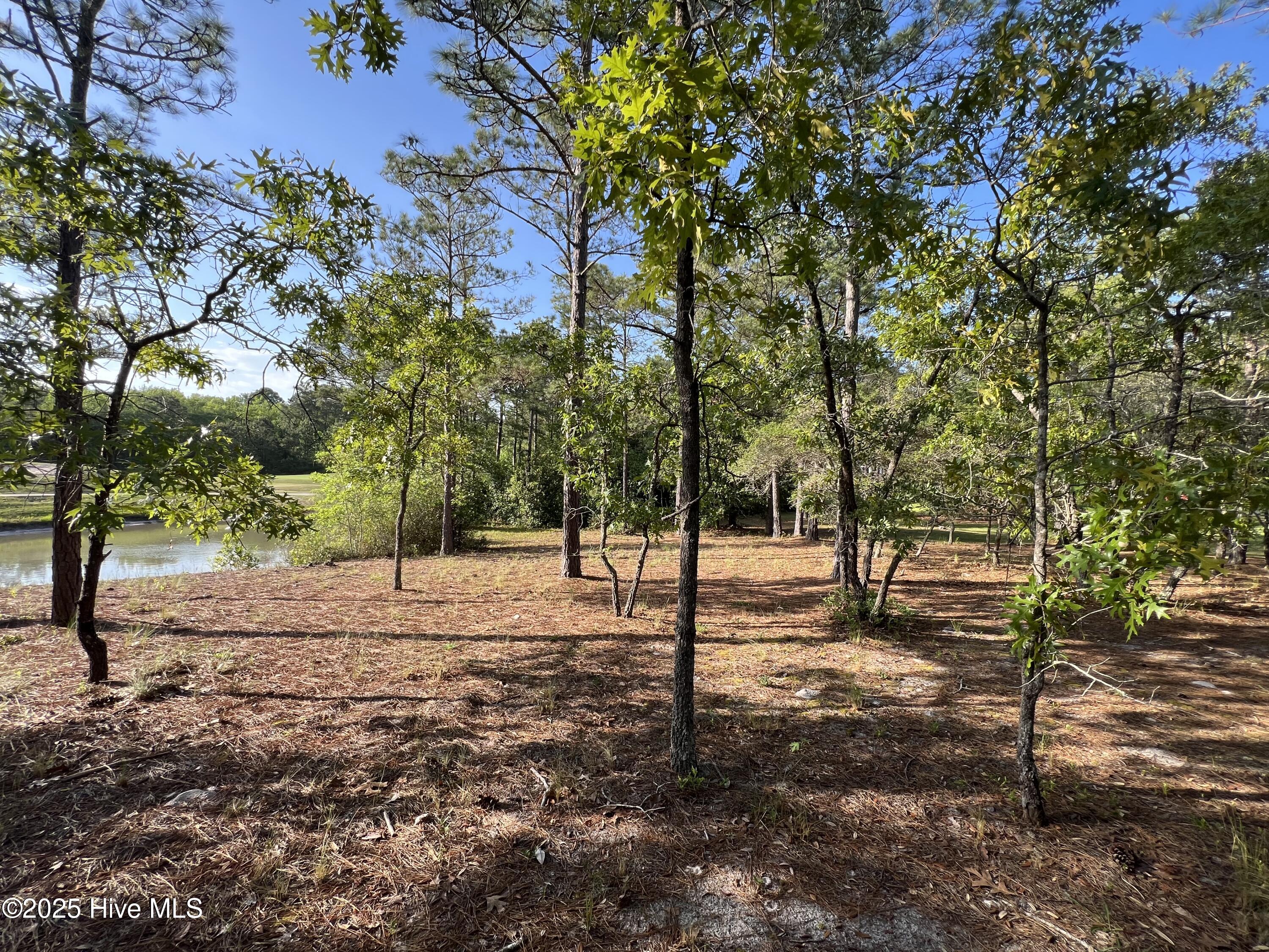 5819 England Point Property Photo 32