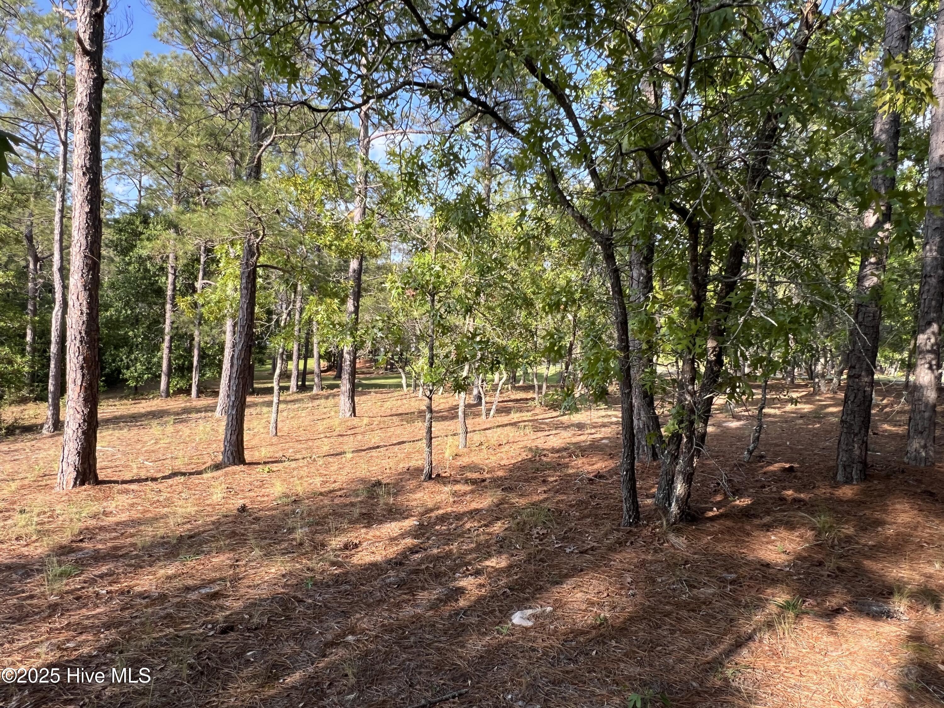 5819 England Point Property Photo 33