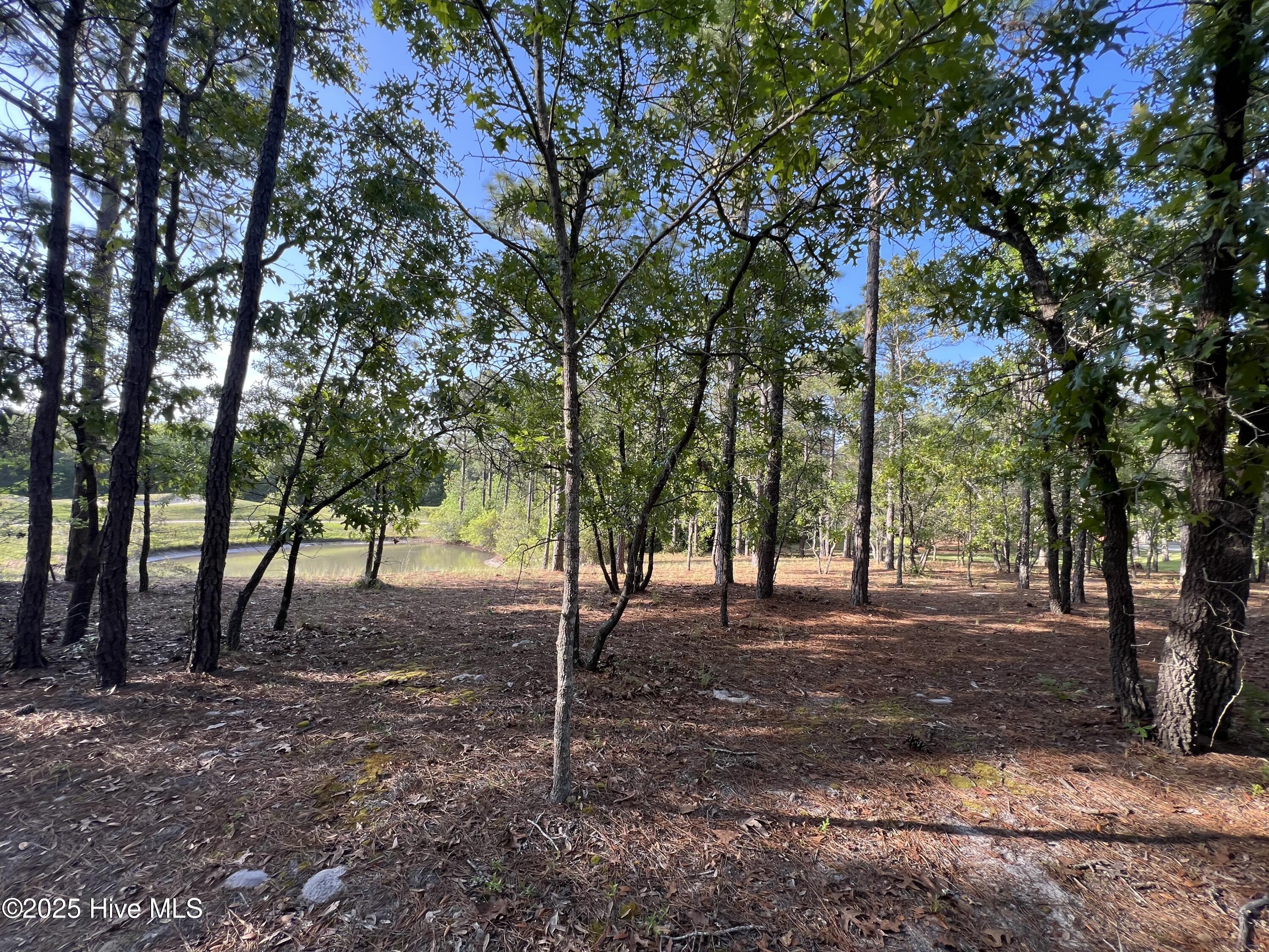 5819 England Point Property Photo 34