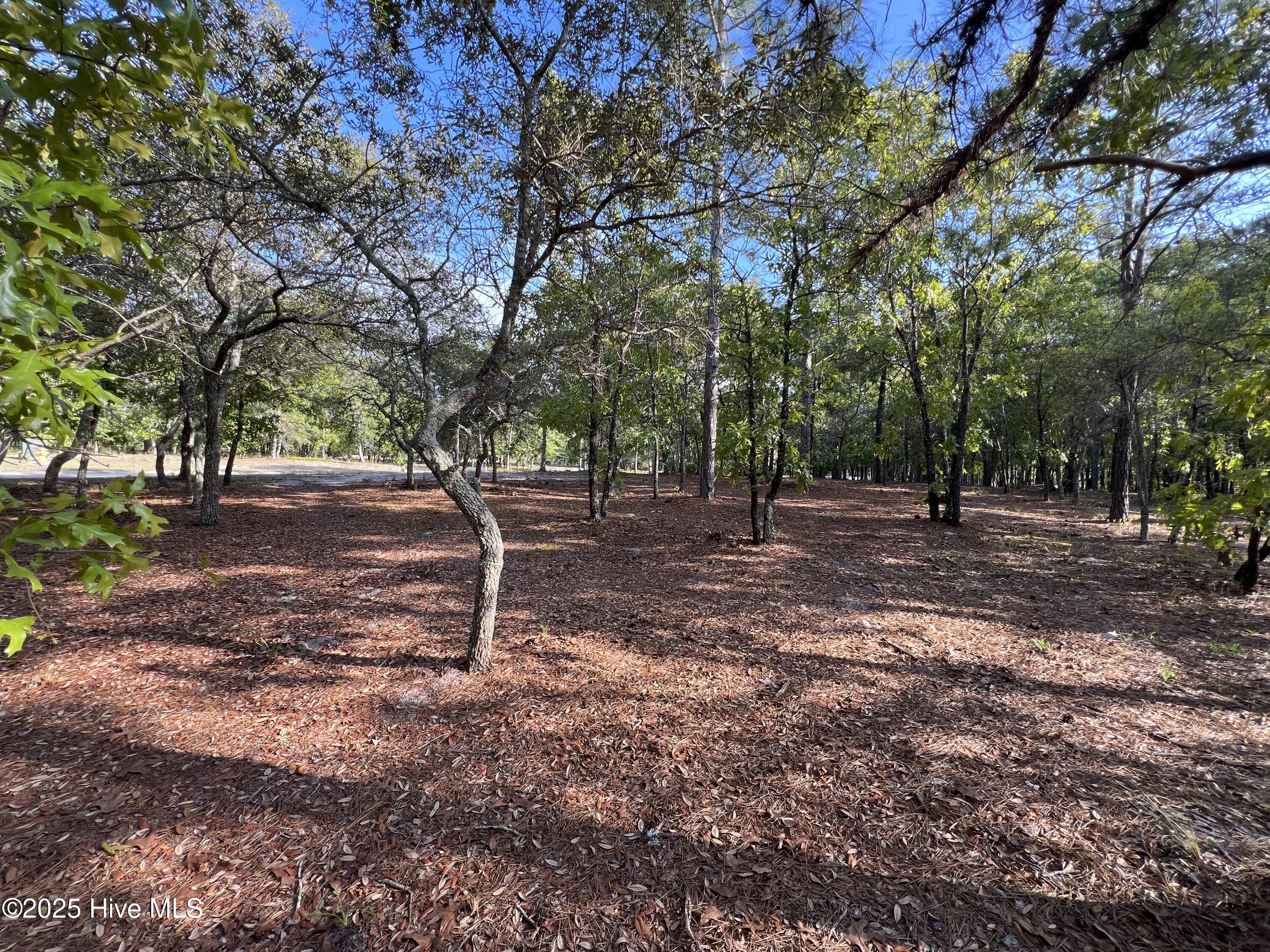 5819 England Point Property Photo 35