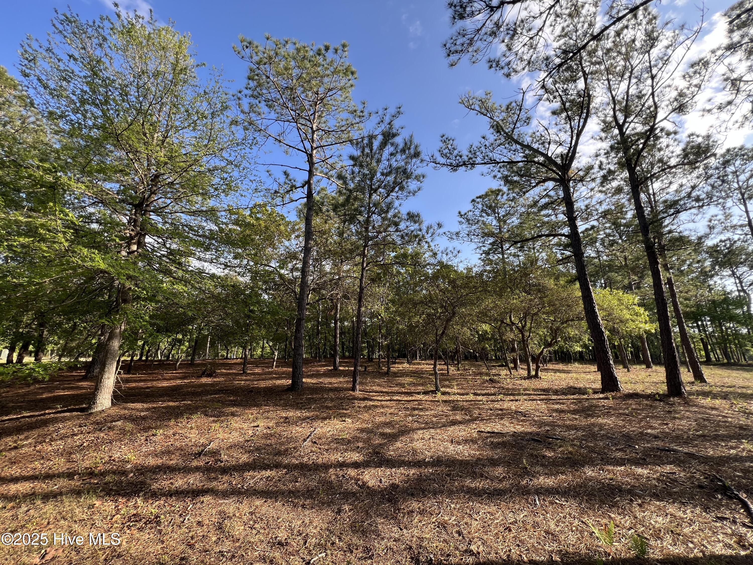 5819 England Point Property Photo 36