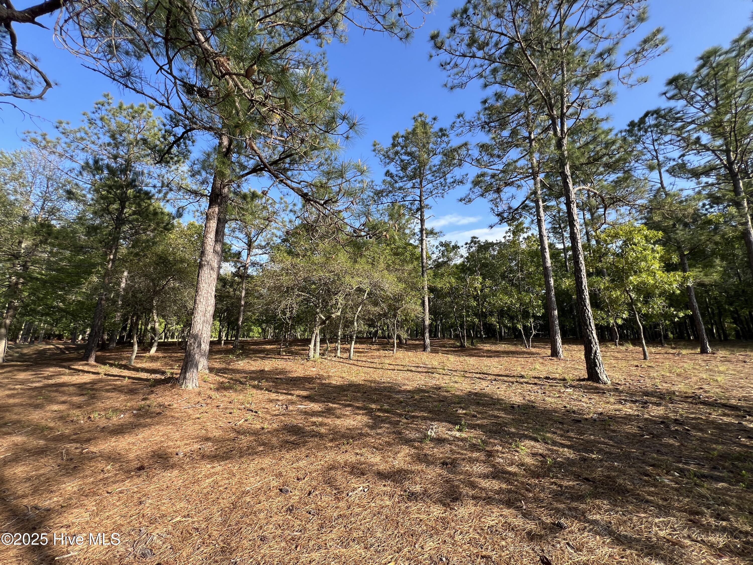 5819 England Point Property Photo 37