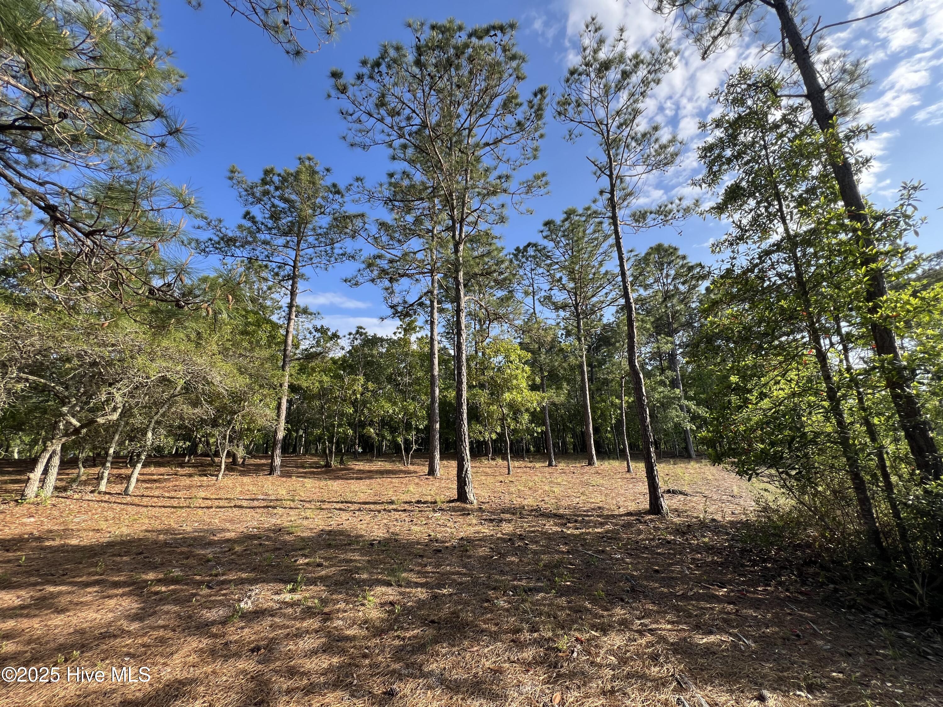 5819 England Point Property Photo 38