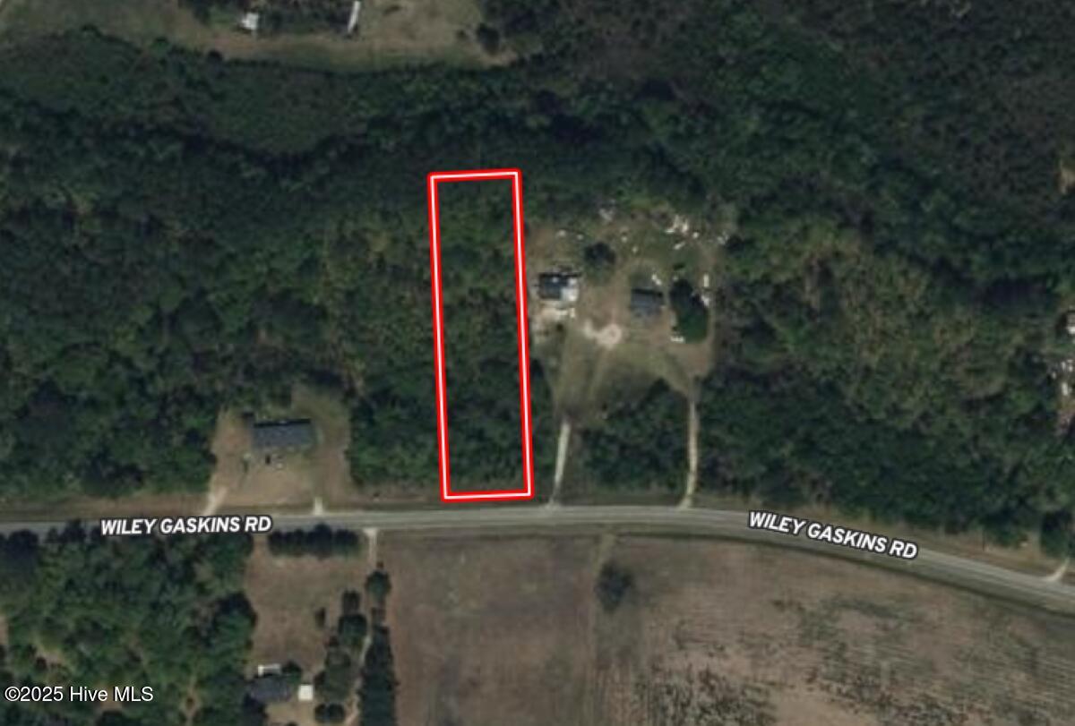 0 Wiley Gaskins Road Property Photo