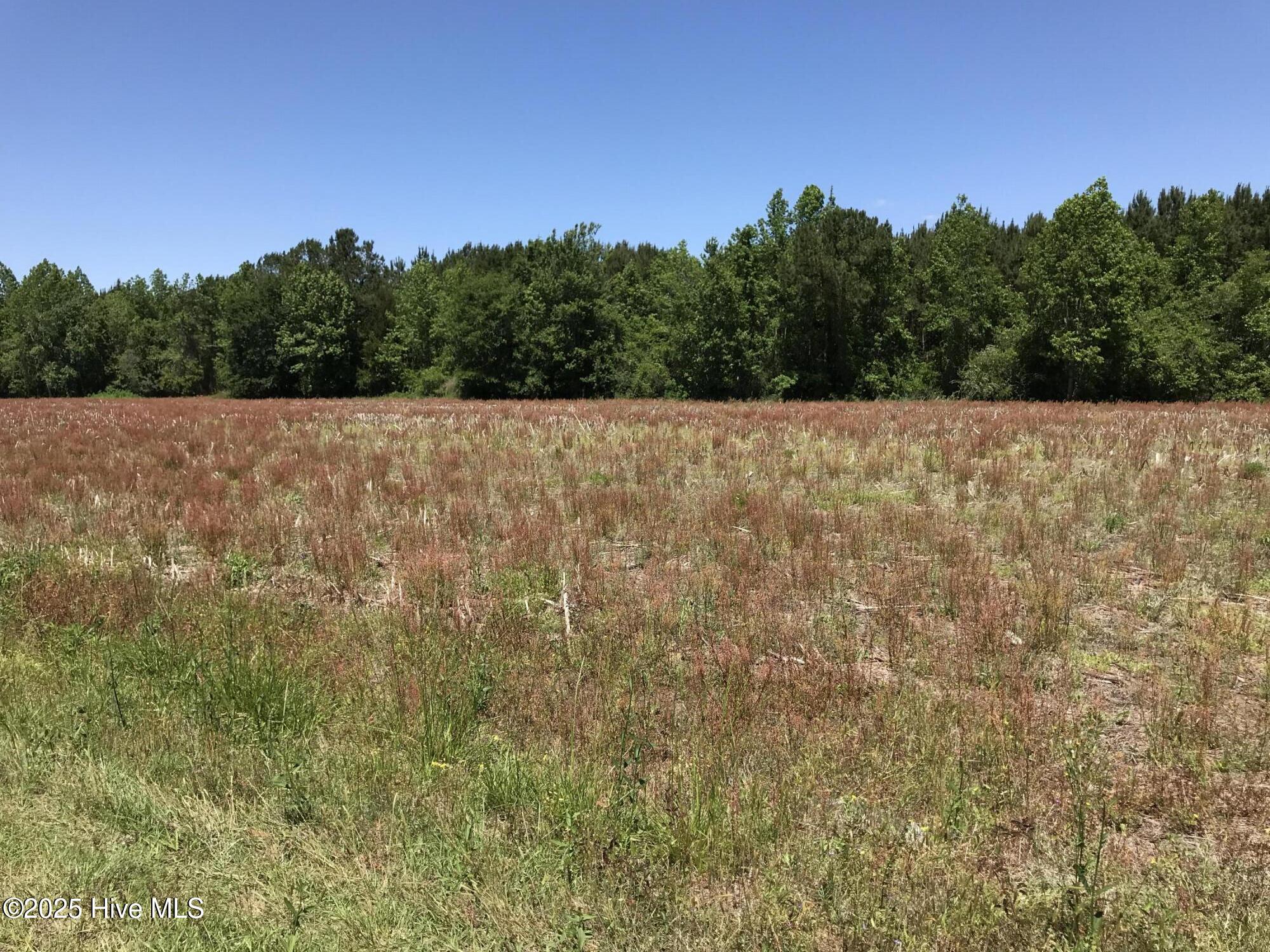 5522 Little Prong Road Property Photo