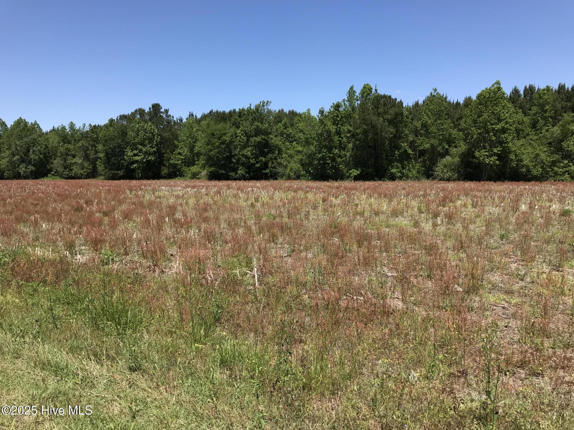 5514 Little Prong Road Property Photo