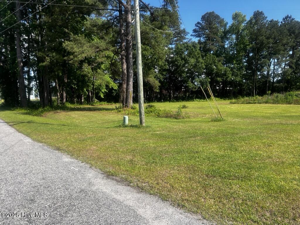 0 S W R Latham Street Property Photo 3