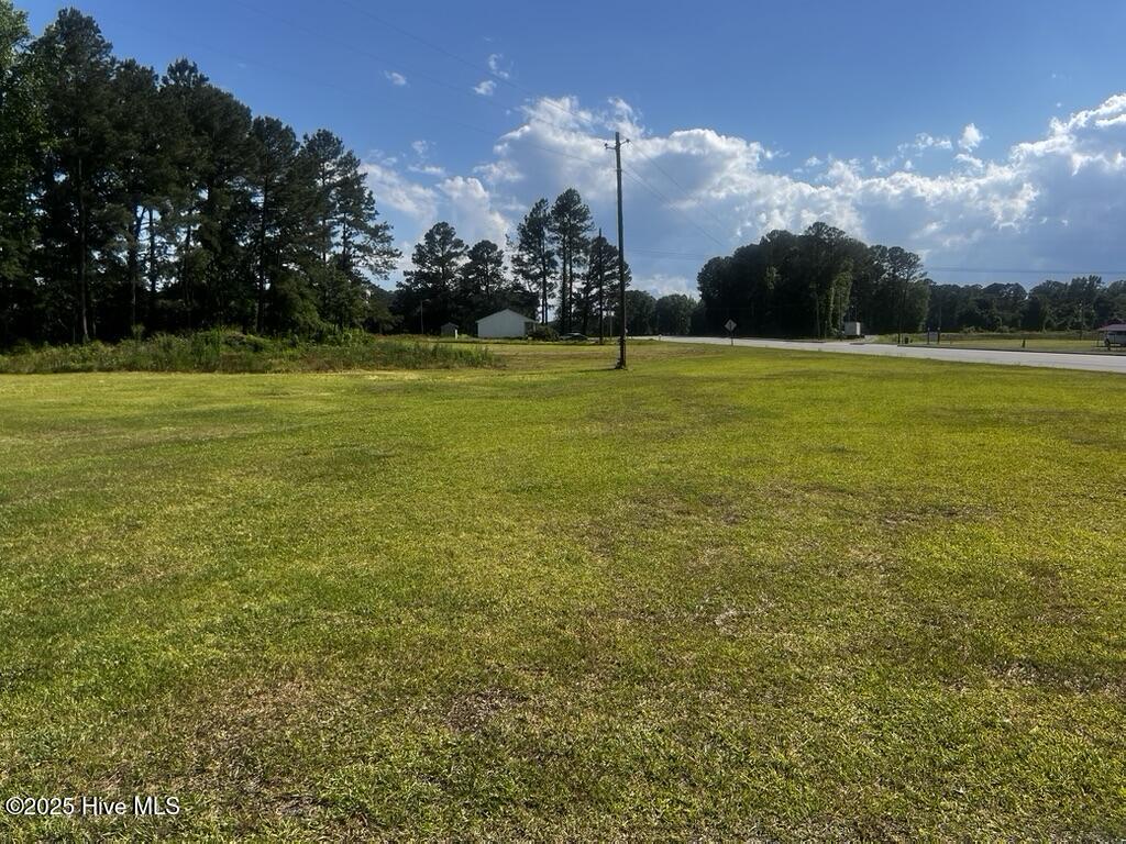 0 S W R Latham Street Property Photo 6