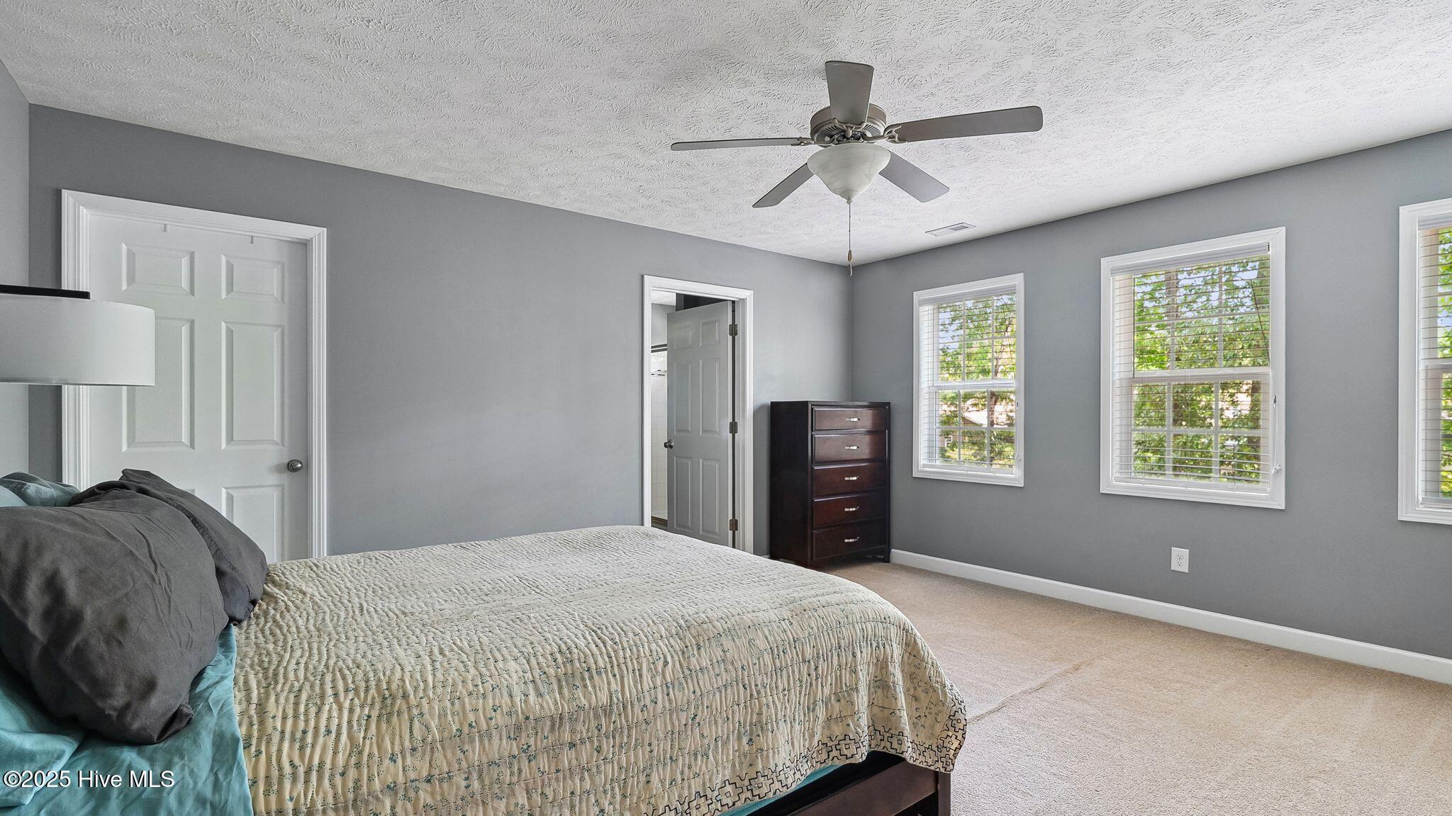 116 Argyll Avenue Property Photo 16