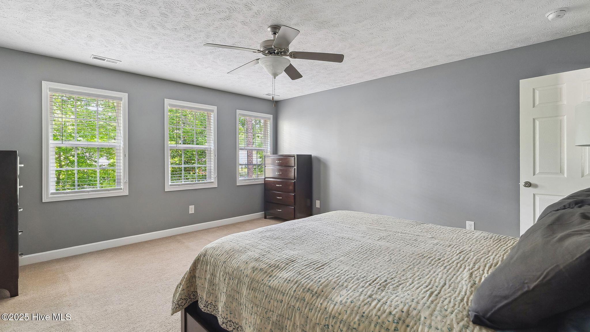 116 Argyll Avenue Property Photo 18
