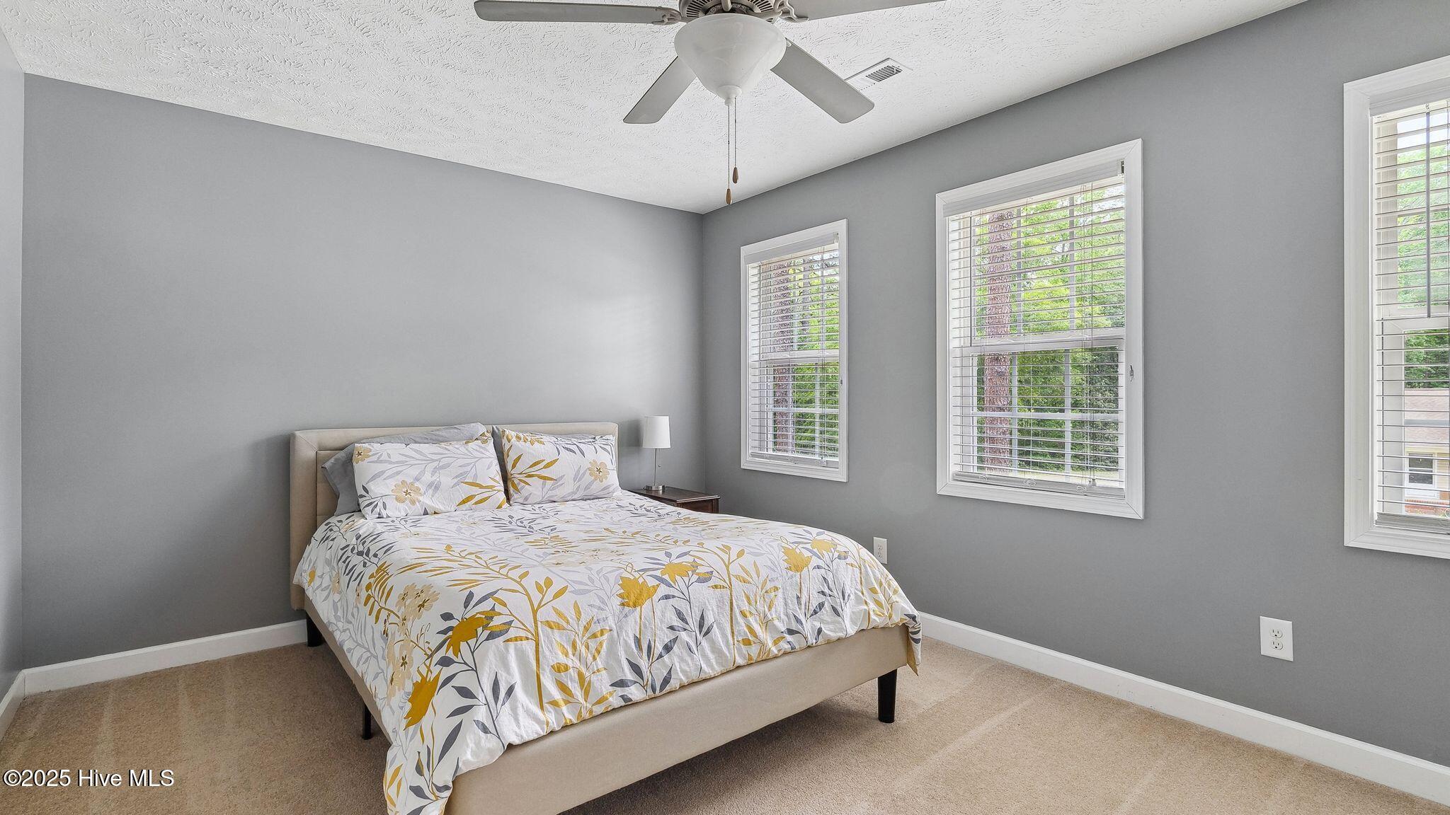 116 Argyll Avenue Property Photo 24