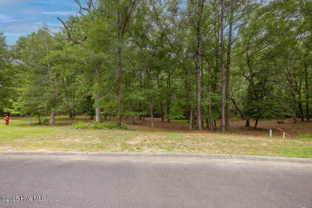 Lot 21 Bay Creek Drive Property Photo