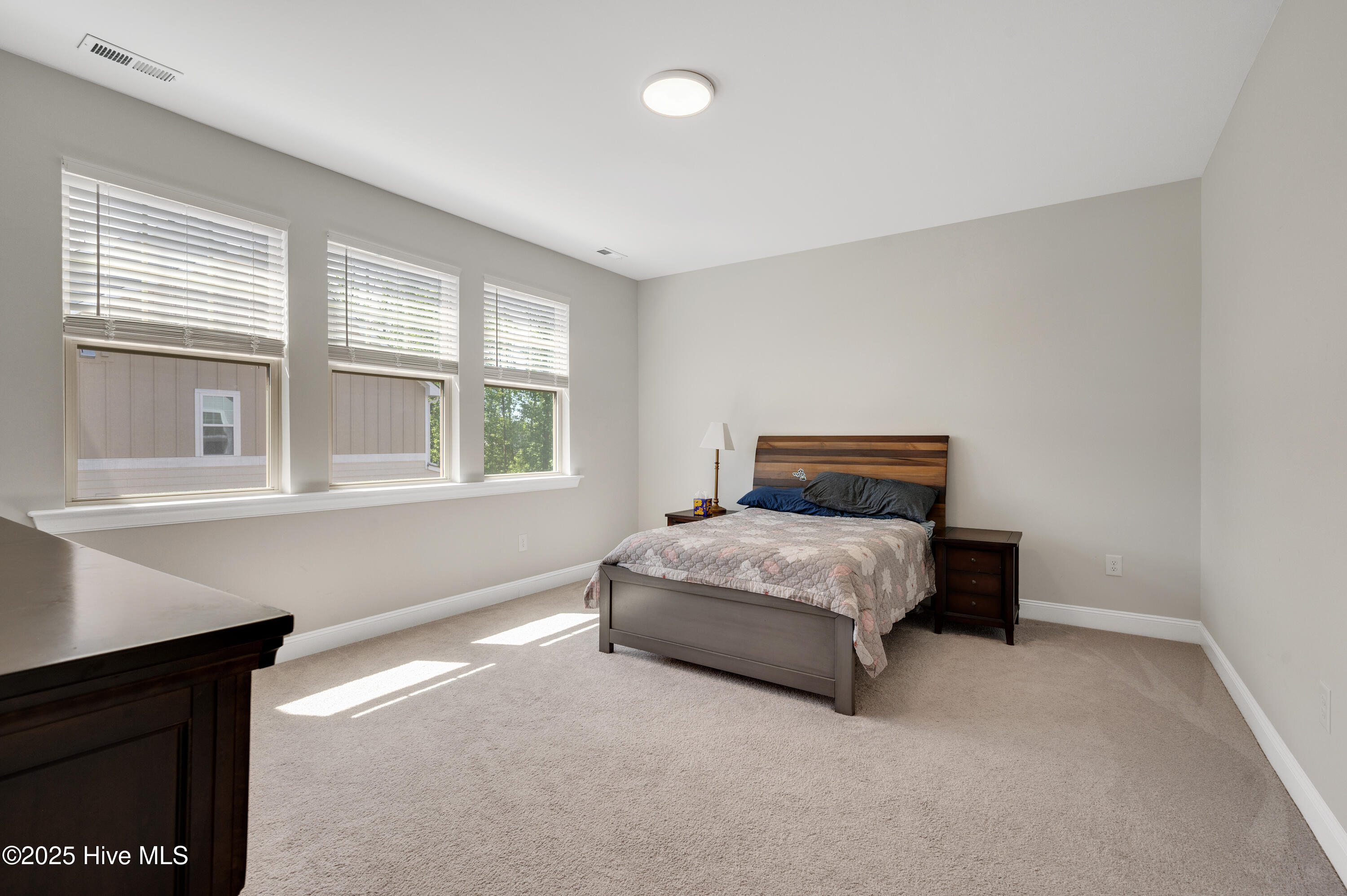 101 Rostova Way Property Photo 22