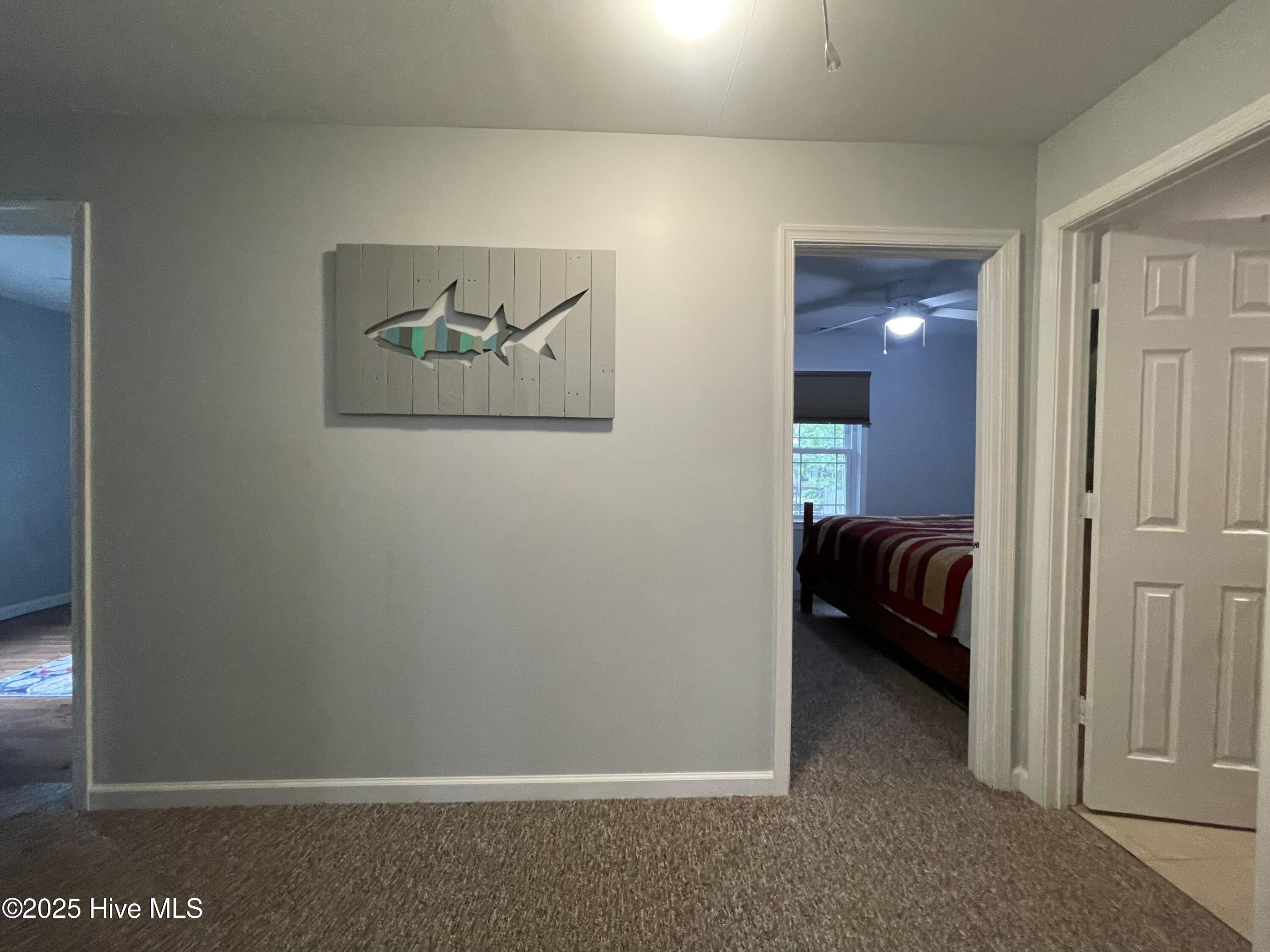 442 Lamont Street Property Photo 12