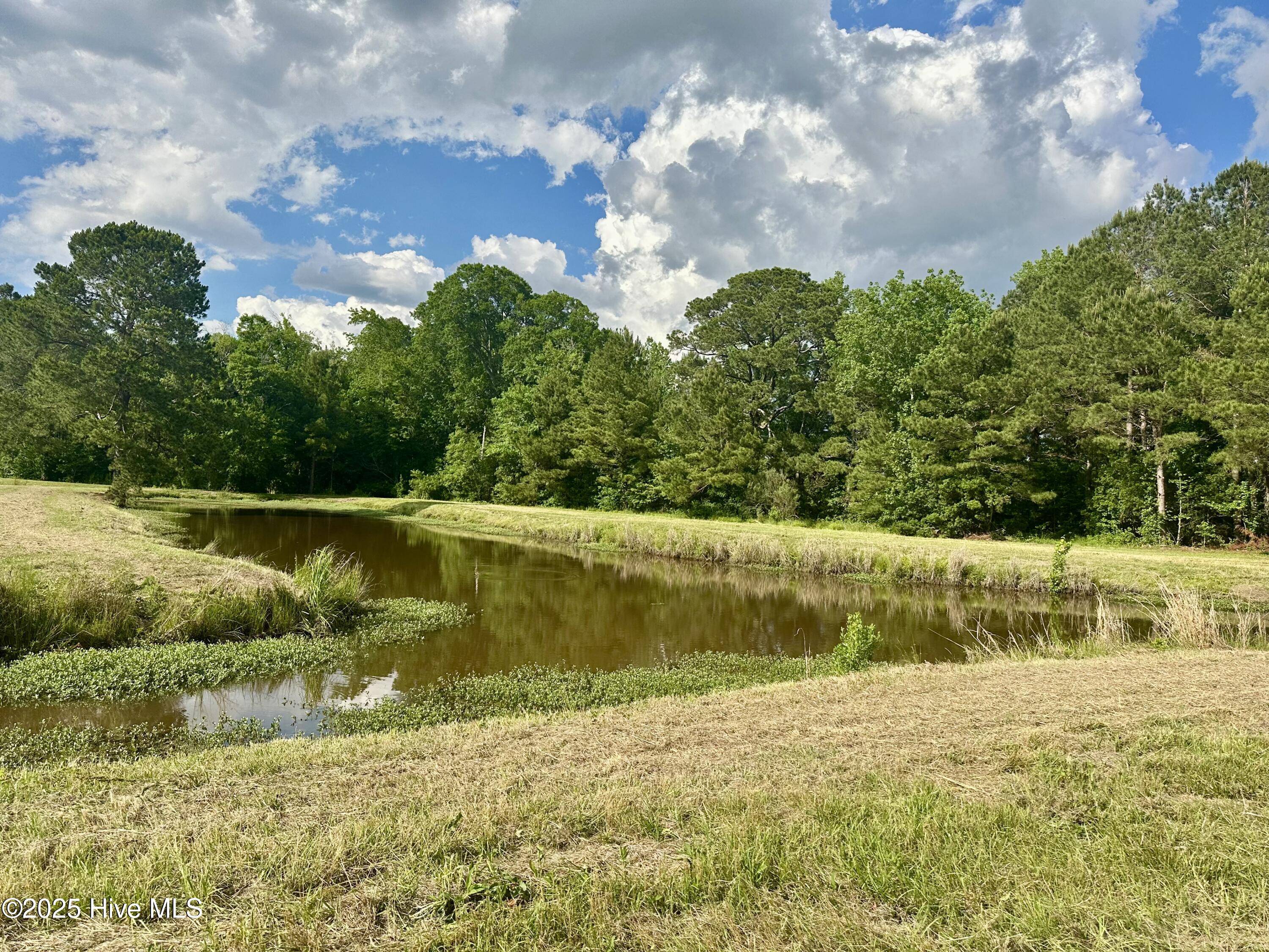 Near 2151 Dolph Lewis Road Property Photo