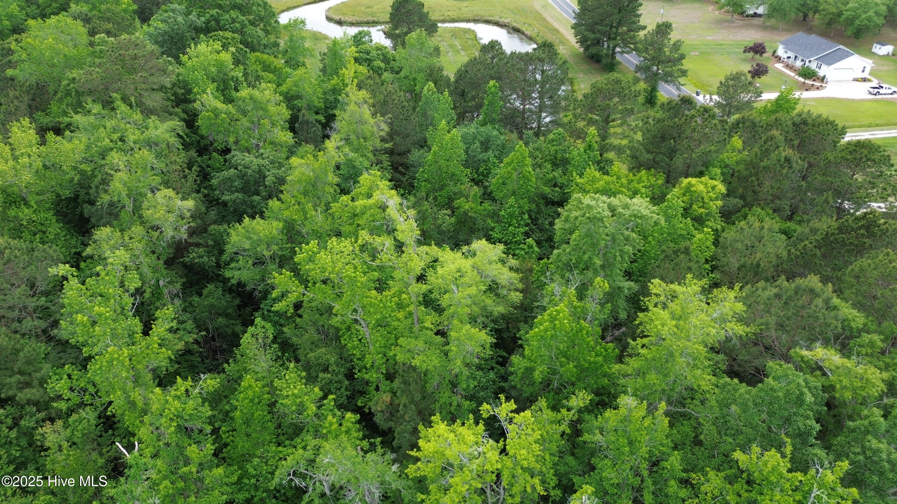 Near 2151 Dolph Lewis Road Property Photo 10