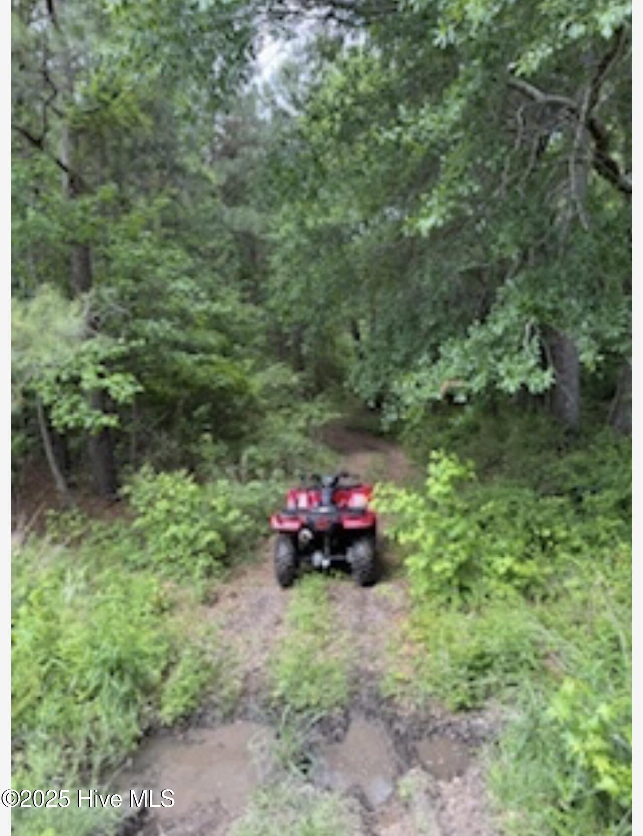 Near 2151 Dolph Lewis Road Property Photo 14