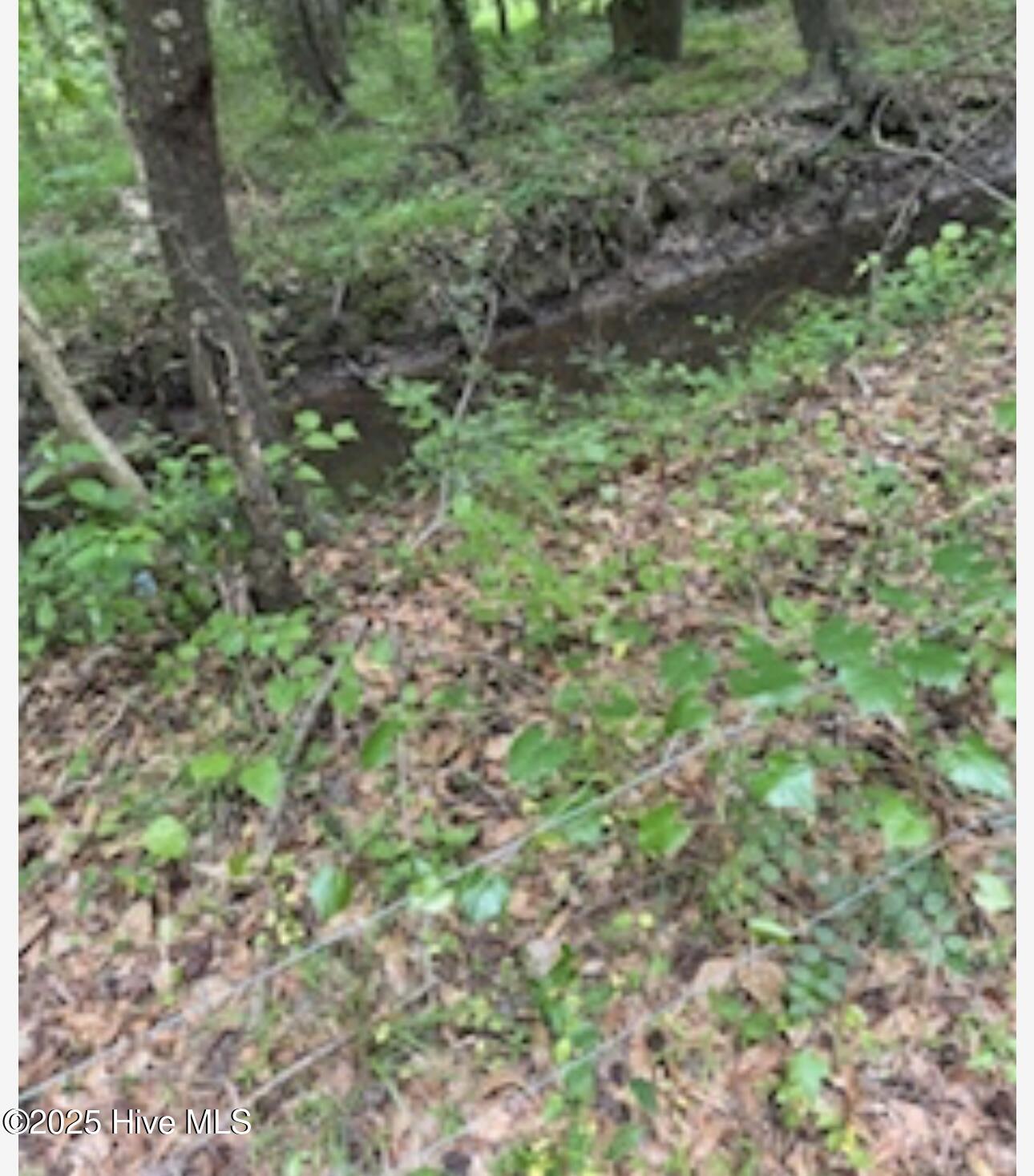 Near 2151 Dolph Lewis Road Property Photo 18