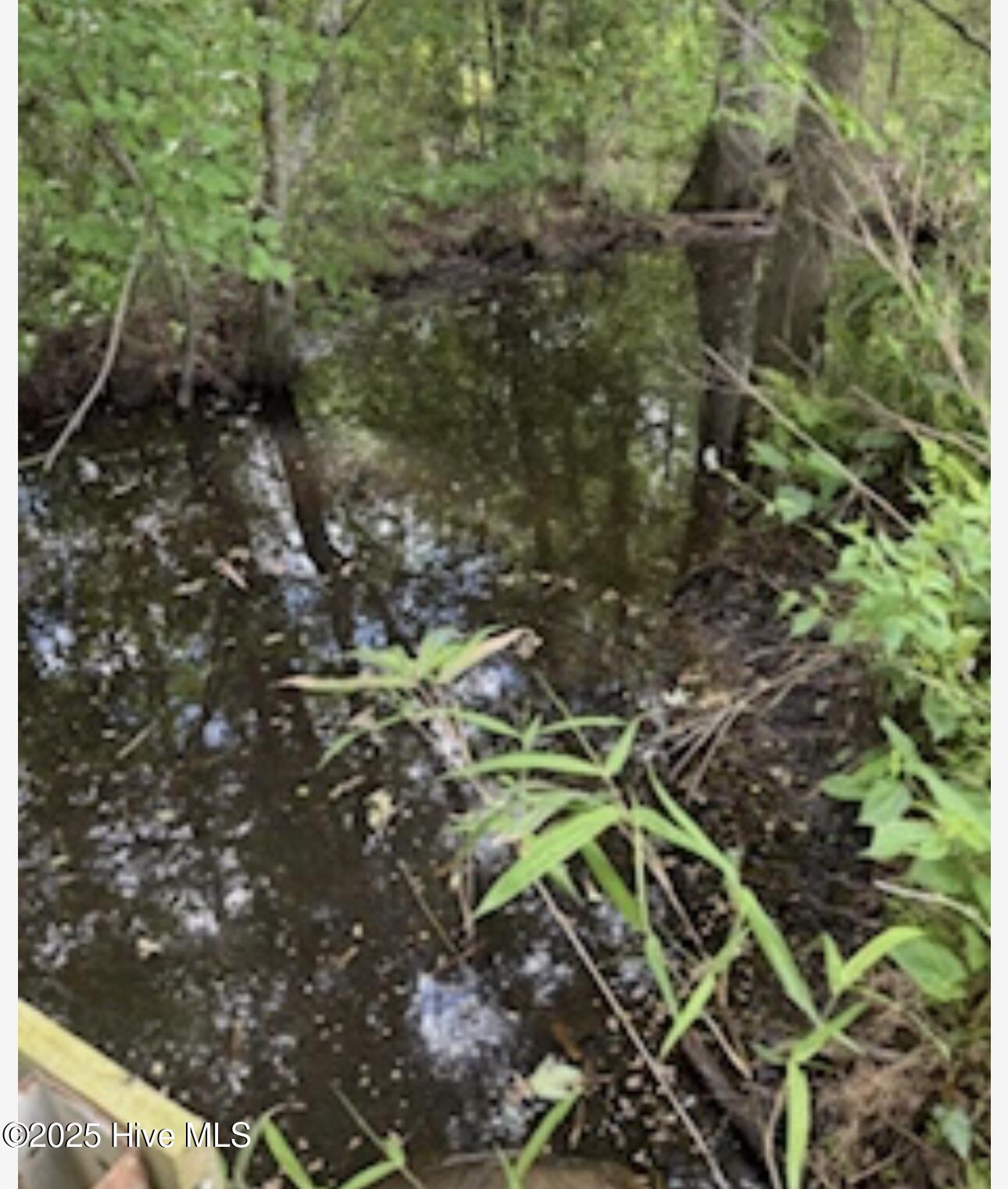 Near 2151 Dolph Lewis Road Property Photo 20