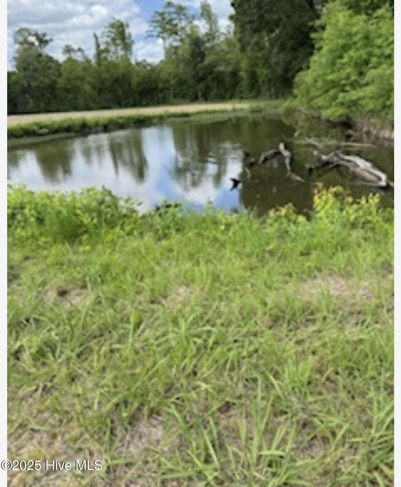 Near 2151 Dolph Lewis Road Property Photo 22
