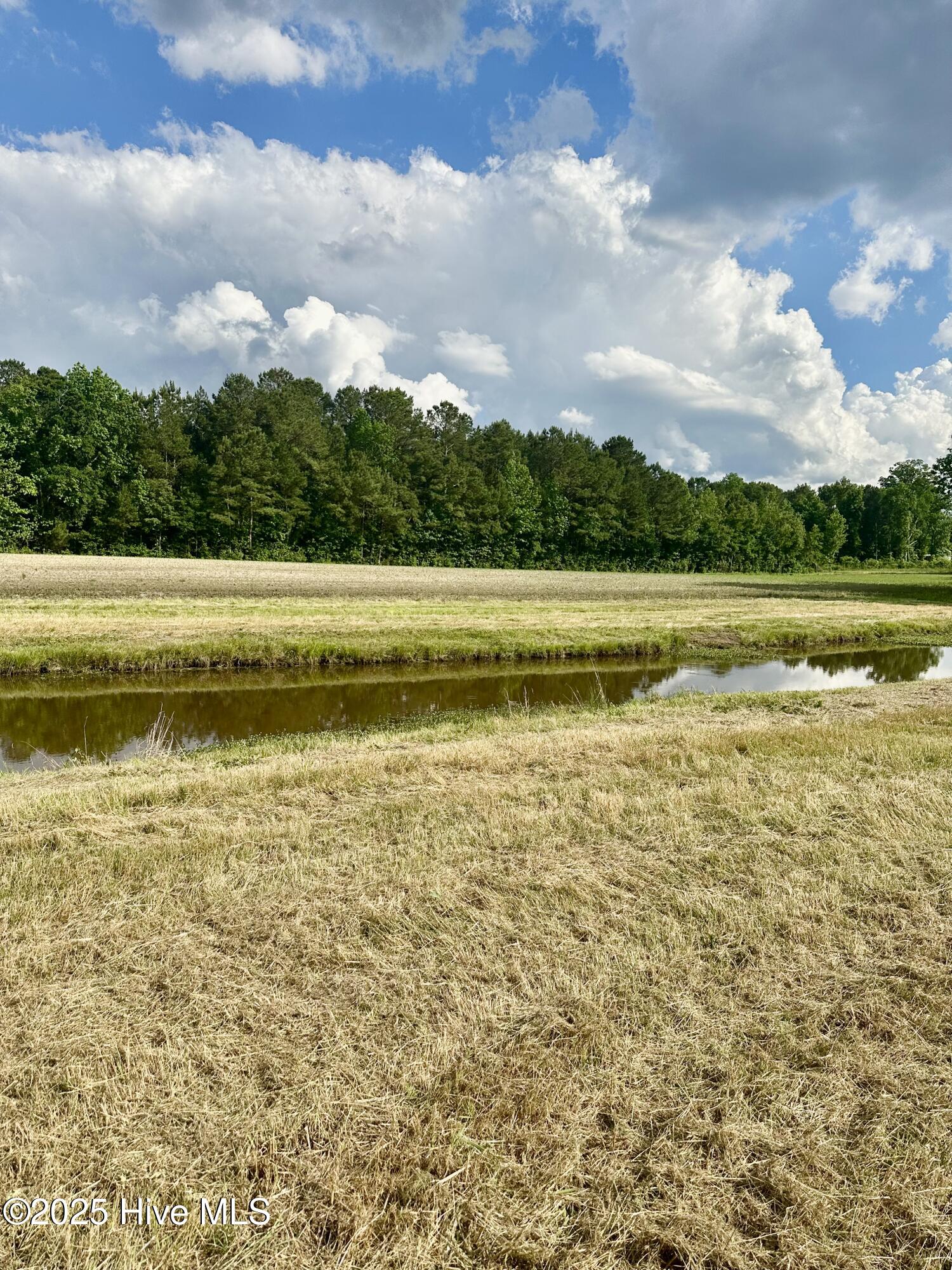 Near 2151 Dolph Lewis Road Property Photo 23