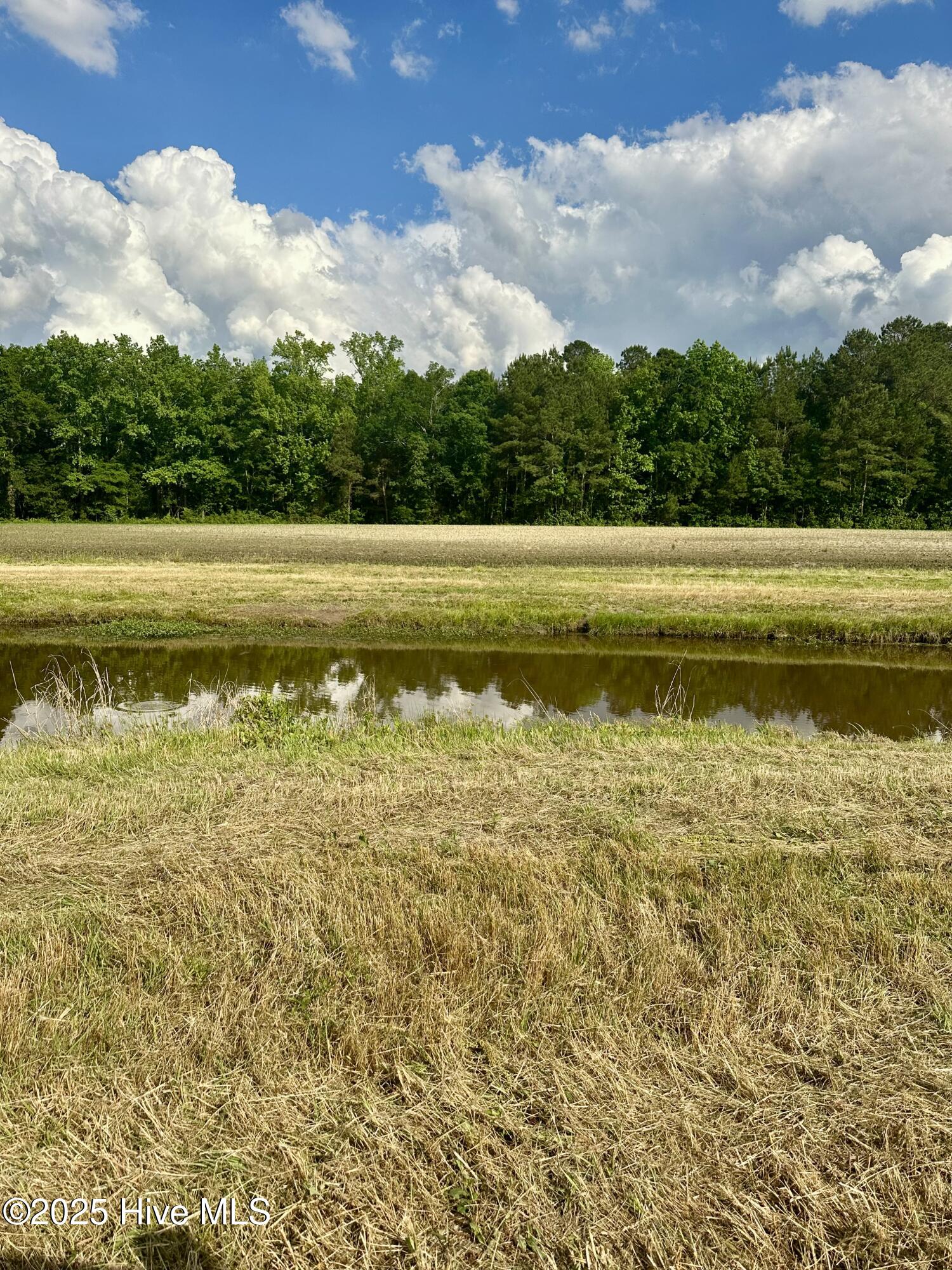 Near 2151 Dolph Lewis Road Property Photo 26