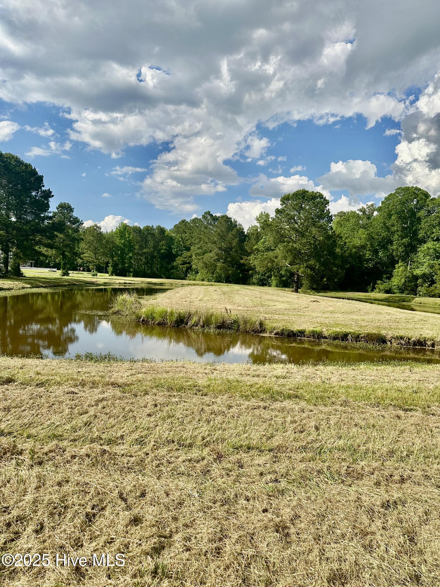 Near 2151 Dolph Lewis Road Property Photo 29