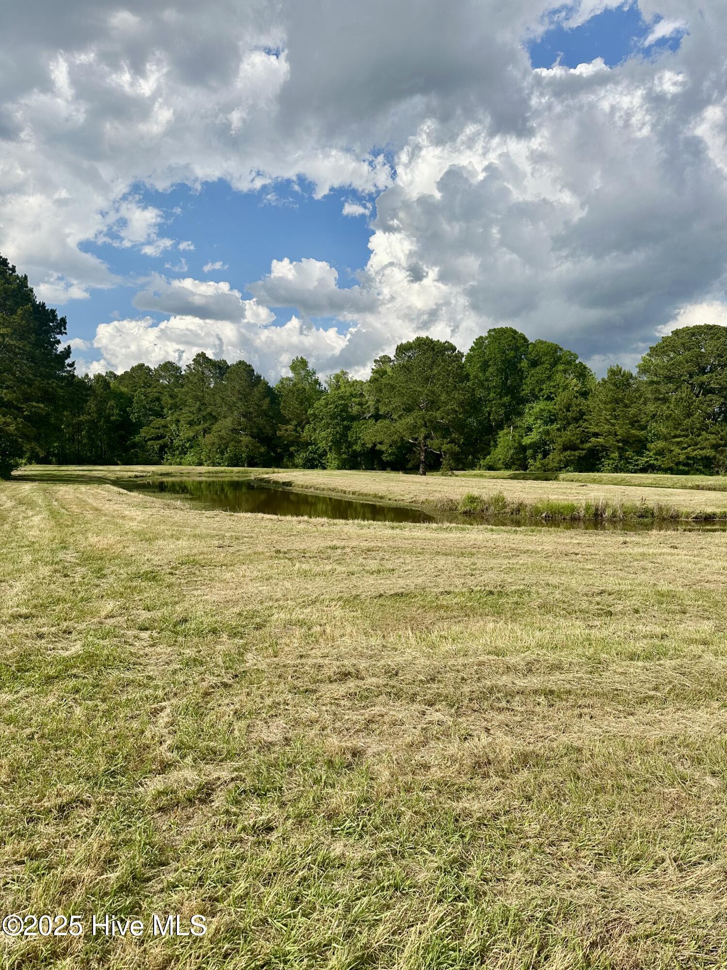 Near 2151 Dolph Lewis Road Property Photo 30